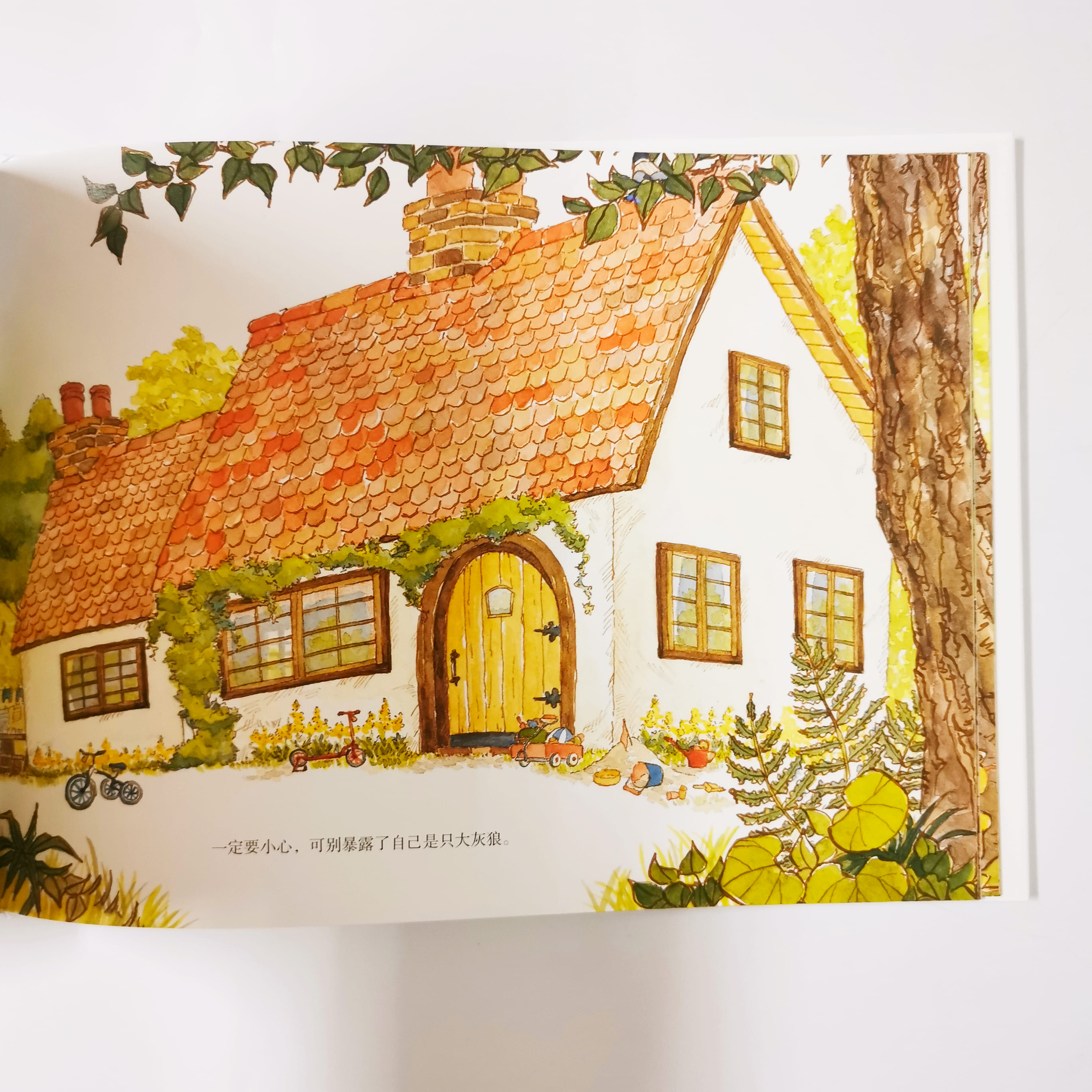 大灰狼才应该小心 The Big Gray Wolf should be careful