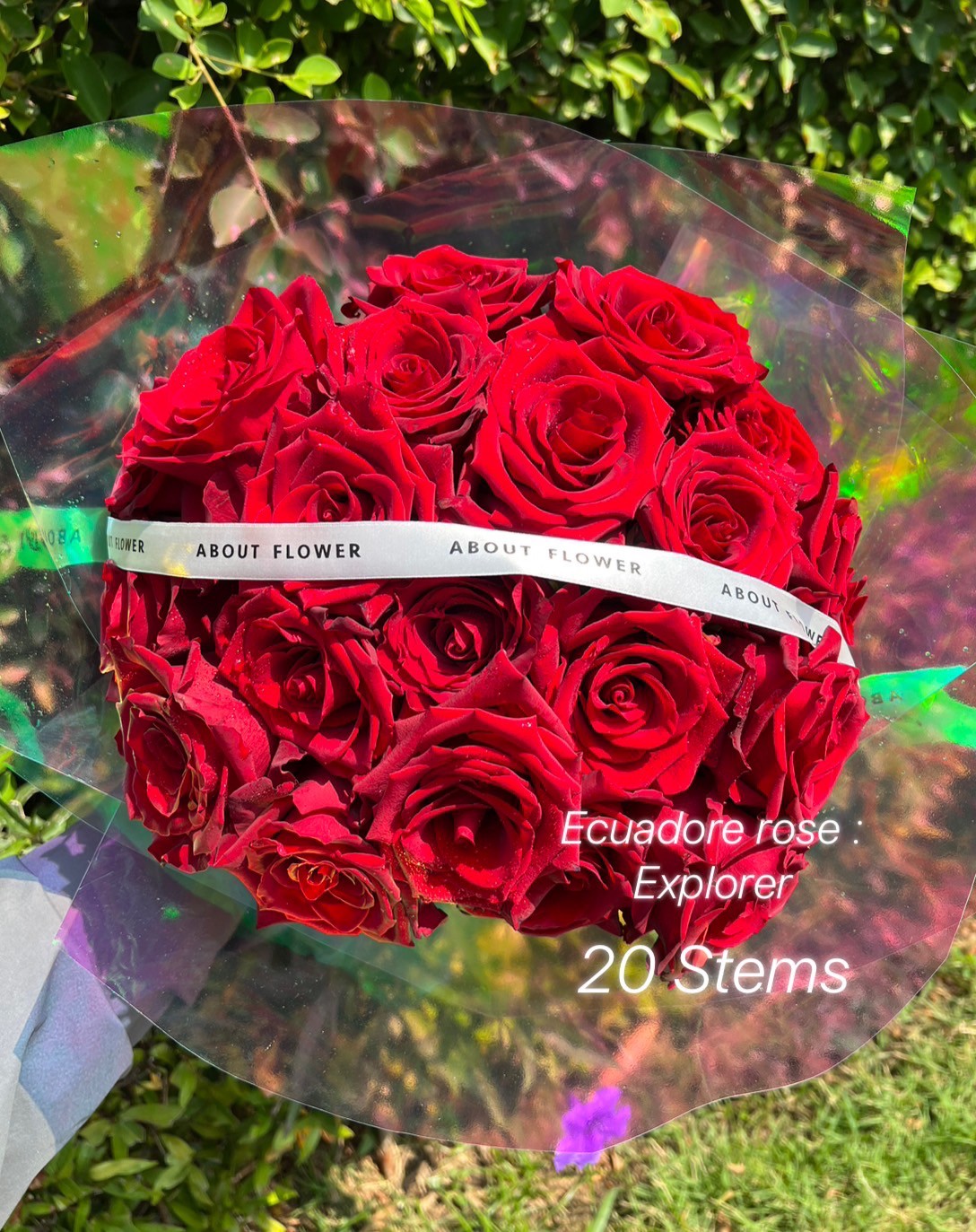 Large Bouquet Ecuador Rose ช่อดอกกุหลาบเอกวาดอร์ สีแดง นำเข้า คัด Size จำนวน 20 ดอก ช่อกลม พร้อมตกแต่ง สามารถเปลี่ยนสีได้