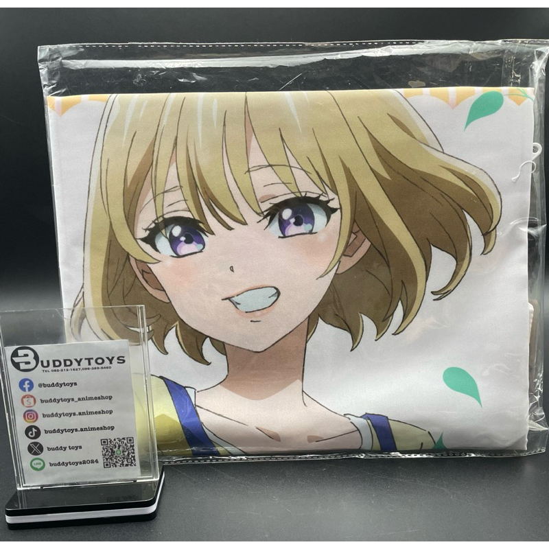 ปลอกหมอน ซาจิ อุมิโนะ -รักอลวนคนสลับบ้าน[A Couple Of Cuckoos -Pillow Case- Umino Sachi]