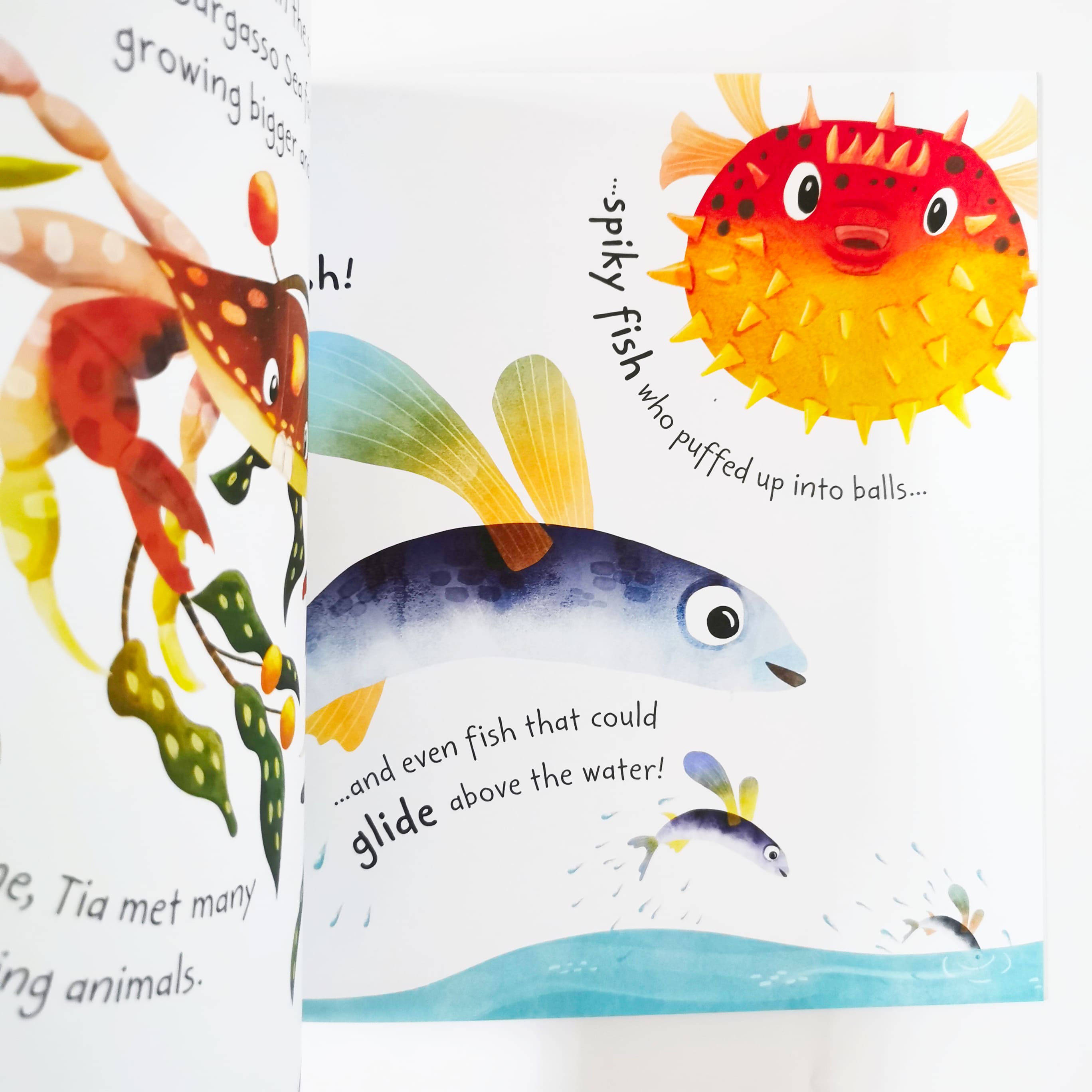 Tia the Turtle (Stories from the Sea)