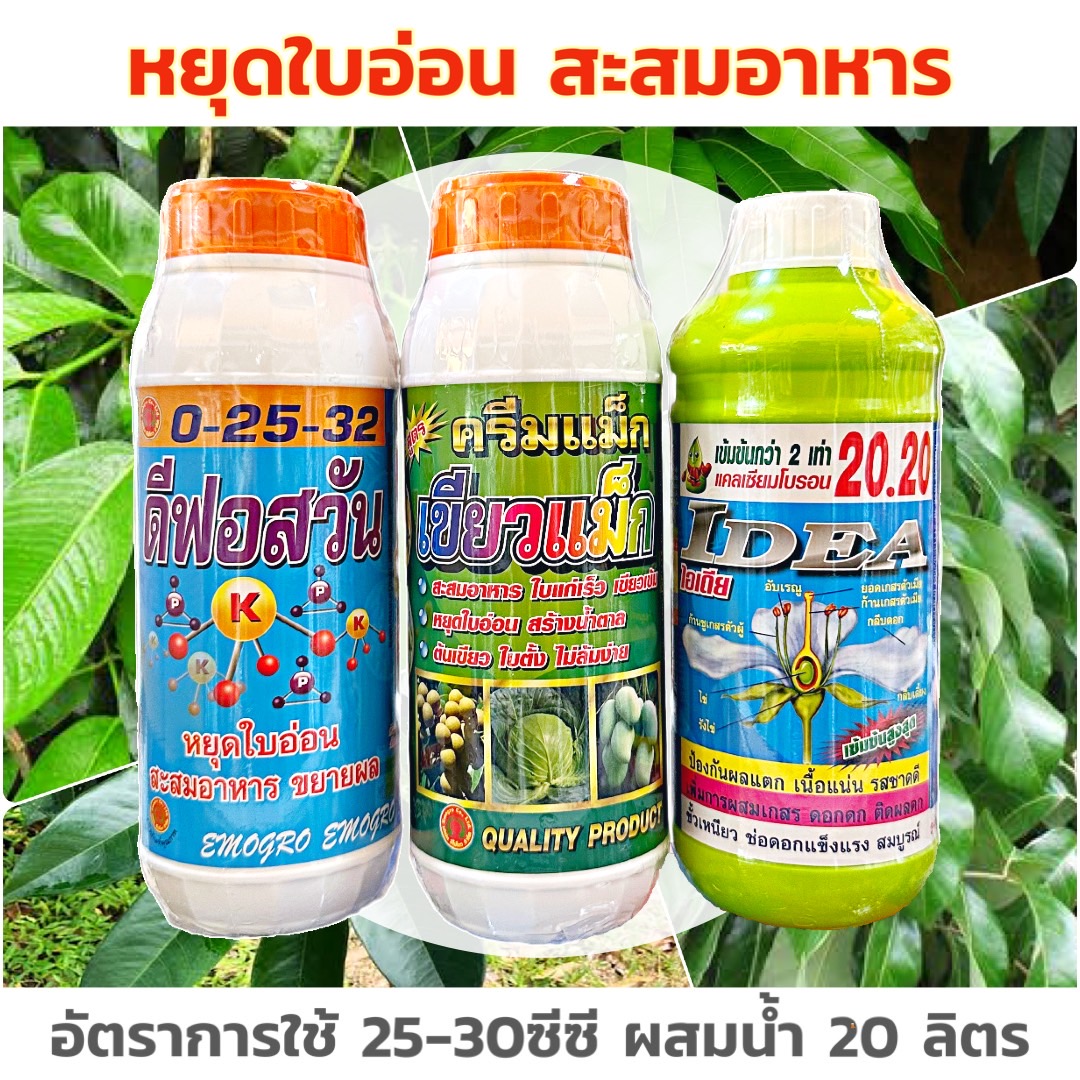 ชุดหยุดใบอ่อน สะสมอาหาร ไอเดียแคลเซียม-โบรอน 20.20+เขียวแม็กซ์+ปุ๋ยน้ำ 0-25-32 ขนาด 1 ลิตร