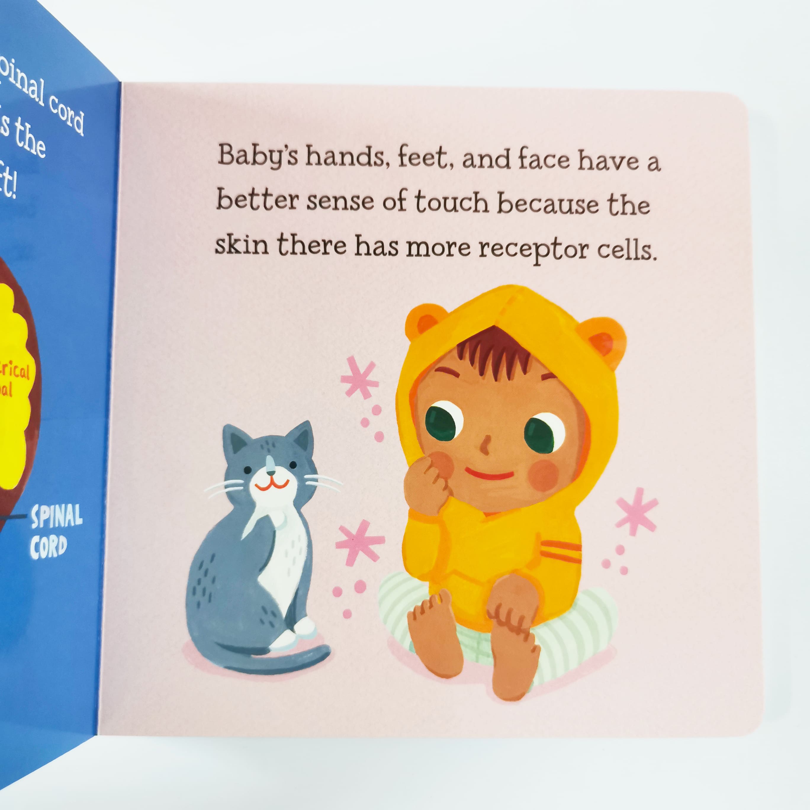 Baby Loves Touch! (The Five Senses)