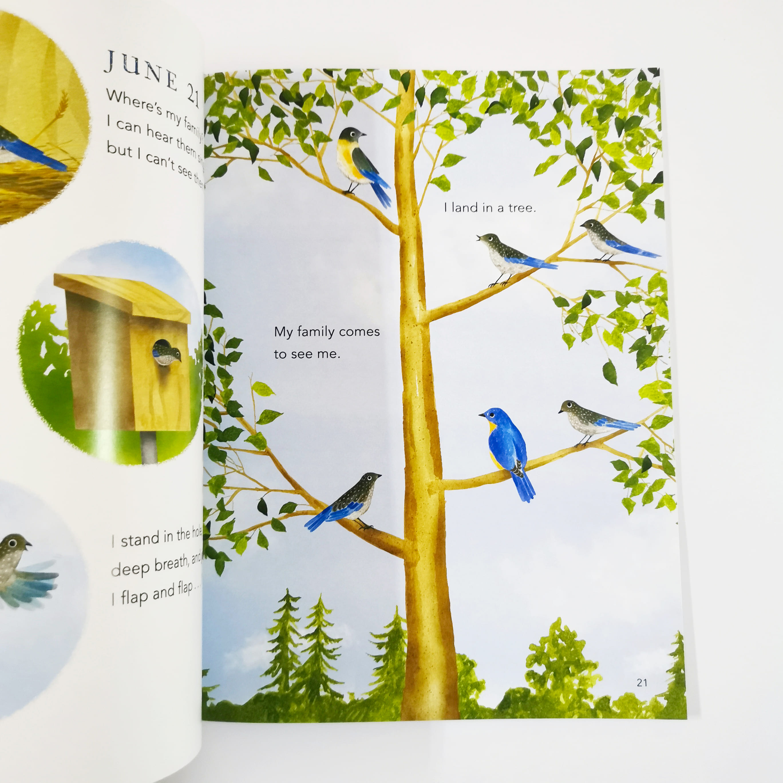 My Happy Year by E.Bluebird