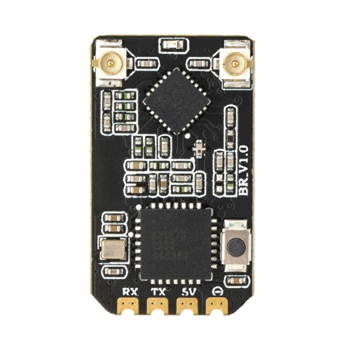 Radiomaster Bandit 915MHz Receiver