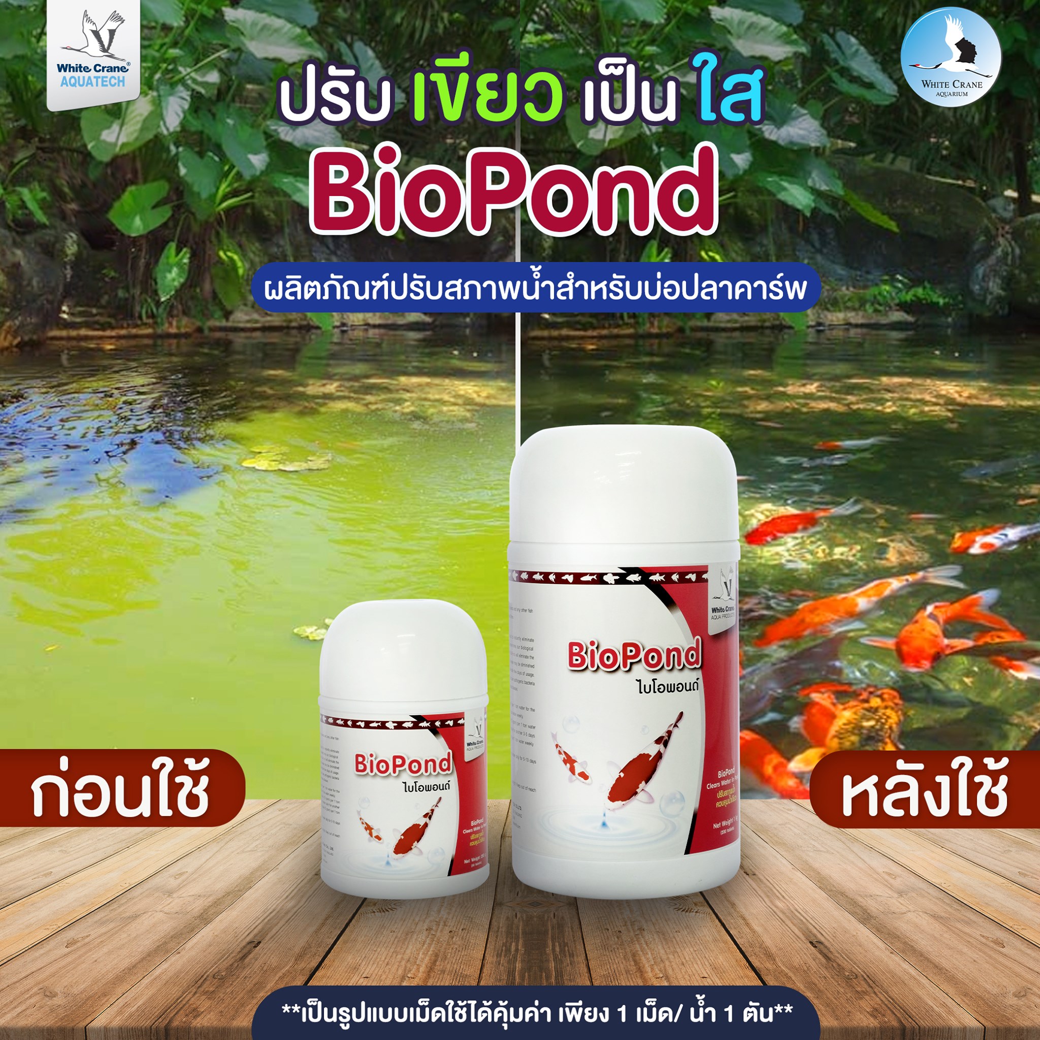 BIO POND PLUS 1 kg.(ไบโอพอนด์ สารชีวภาพ ปรับสภาพน้ำ ลดของเสีย ไนไตรต์ ไนเตรต ได้ผลรวดเร็ว ช่วยป้องกันโรค กำจัดน้ำเขียว)