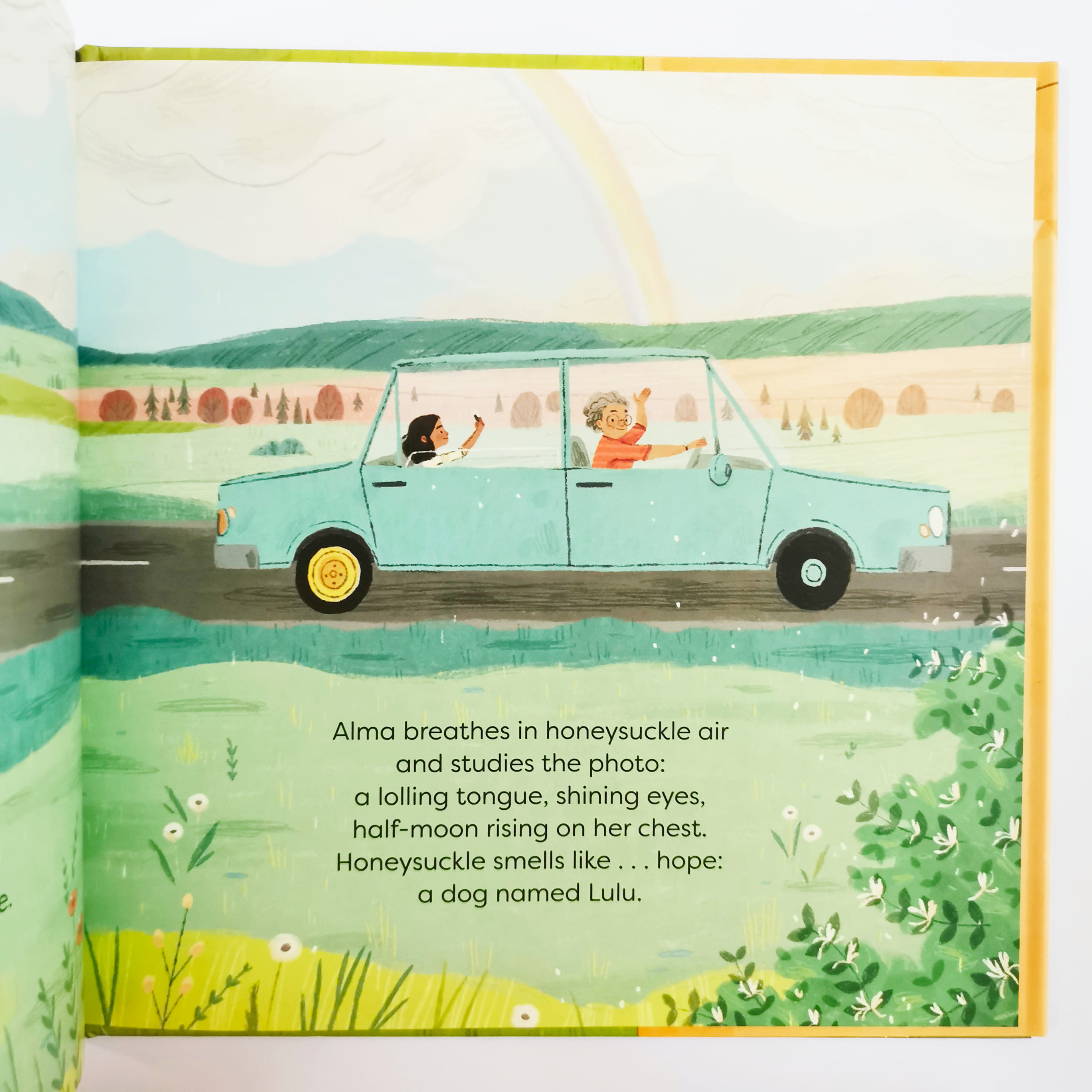 Operation Rescue Dog