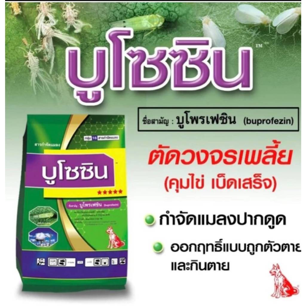 บูโซซิน -บูโพรเฟซิน 25% WP ของหมาแดง ขนาด 1 กก. กำจัดแมลง ตัดวงจรเพลี้ย แมลงปากดูด แบบถูกตัวตาย และกินตาย