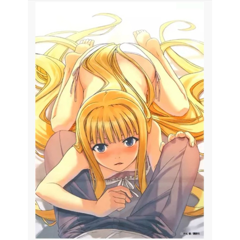 โปสเตอร์ผ้า เอวาเจลีน -ยูคิวโฮลเดอร์![UQ HOLDER! B3 Cloth Poster - Evangeline A.K. McDowell]