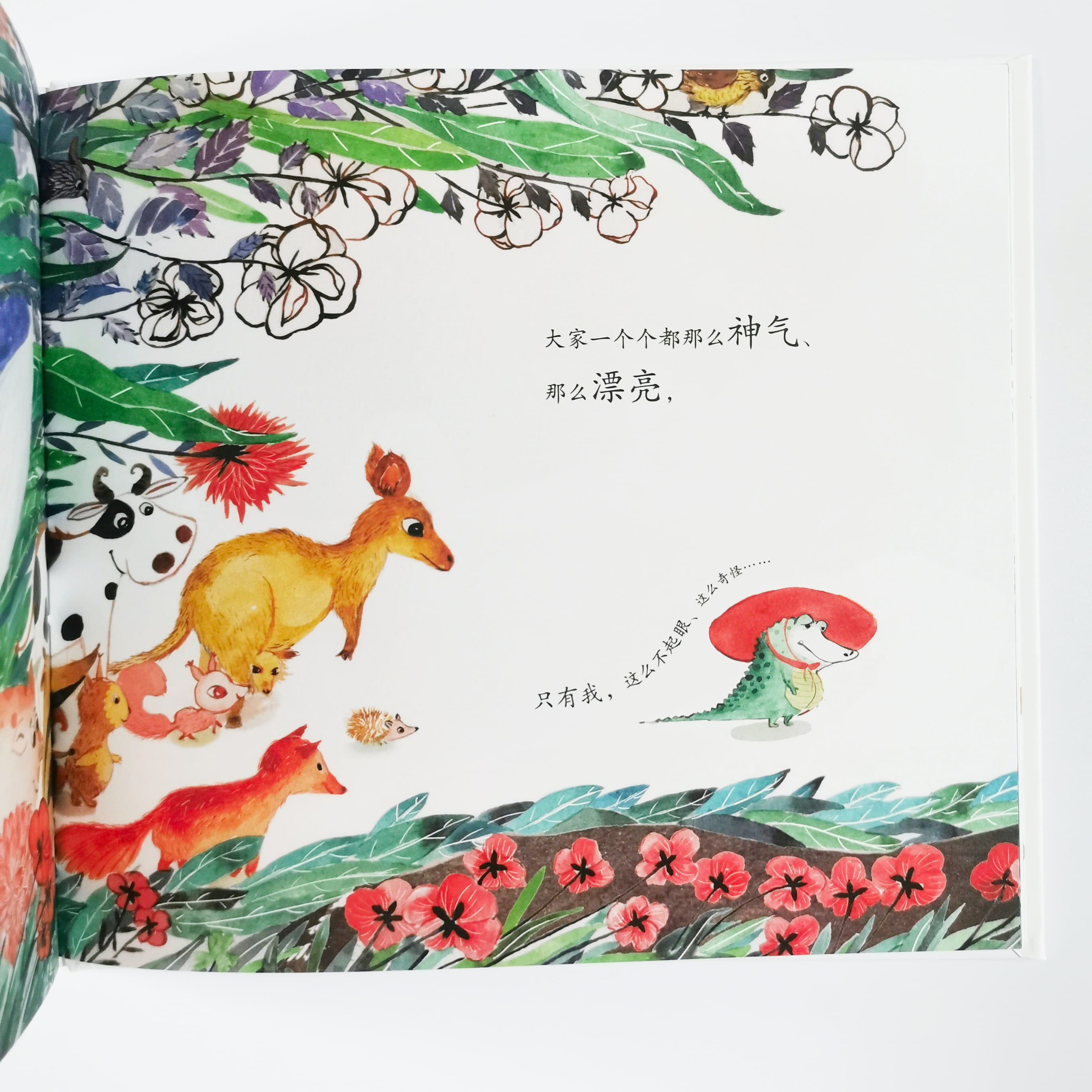 奇怪的白色小鳄鱼 Strange little white crocodile