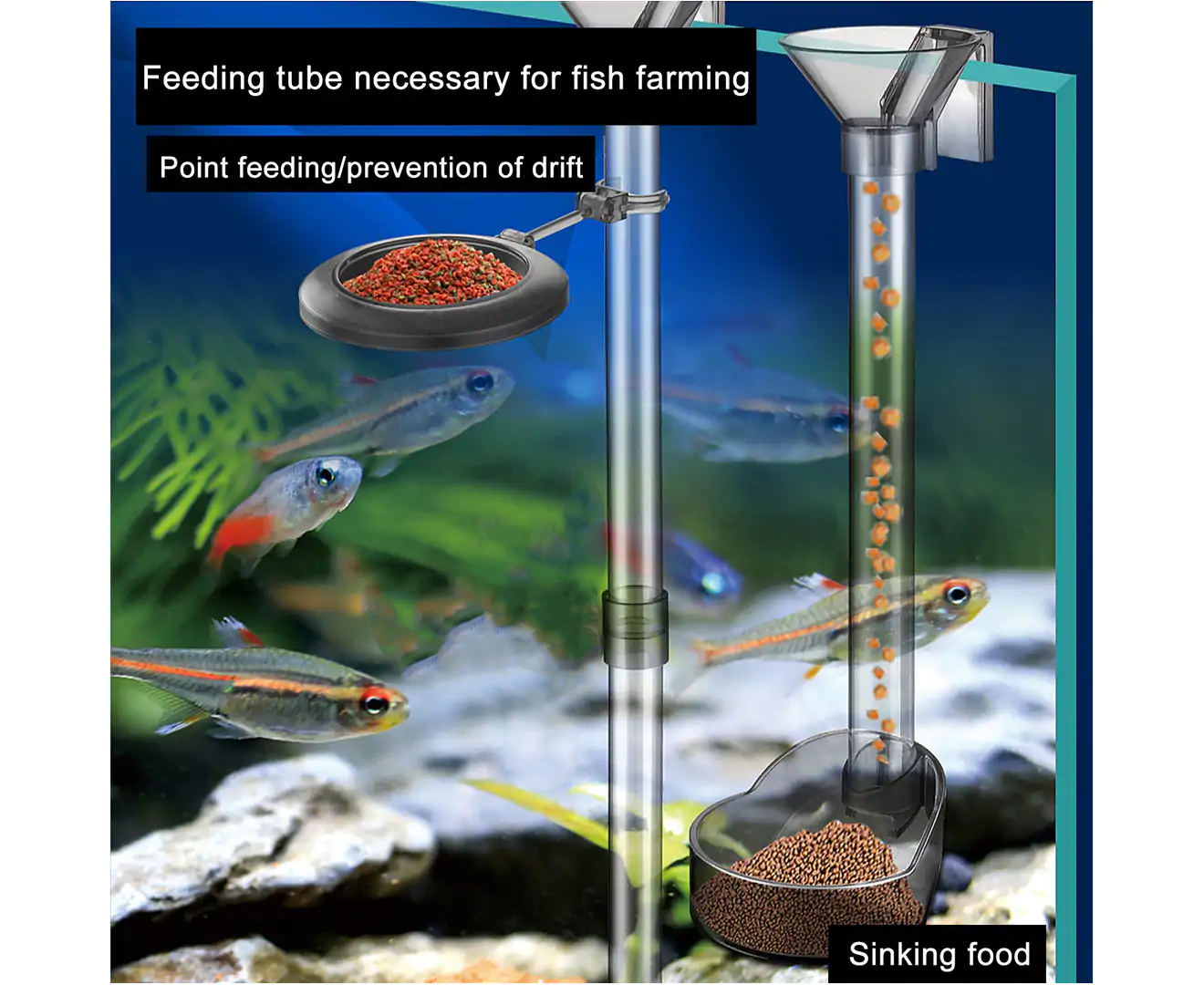 MULTI-FUNCTION FEEDING TUBE(ท่อให้อาหารปลา,อาหารกุ้ง ใช้ได้ทั้งอาหารลอยและจมน้ำ อาหารไม่ฟุ้งกระจาย ป้องกันน้ำขุ่น)