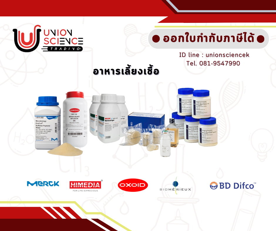 อาหารเลี้ยงเชื้อ (culture medium)