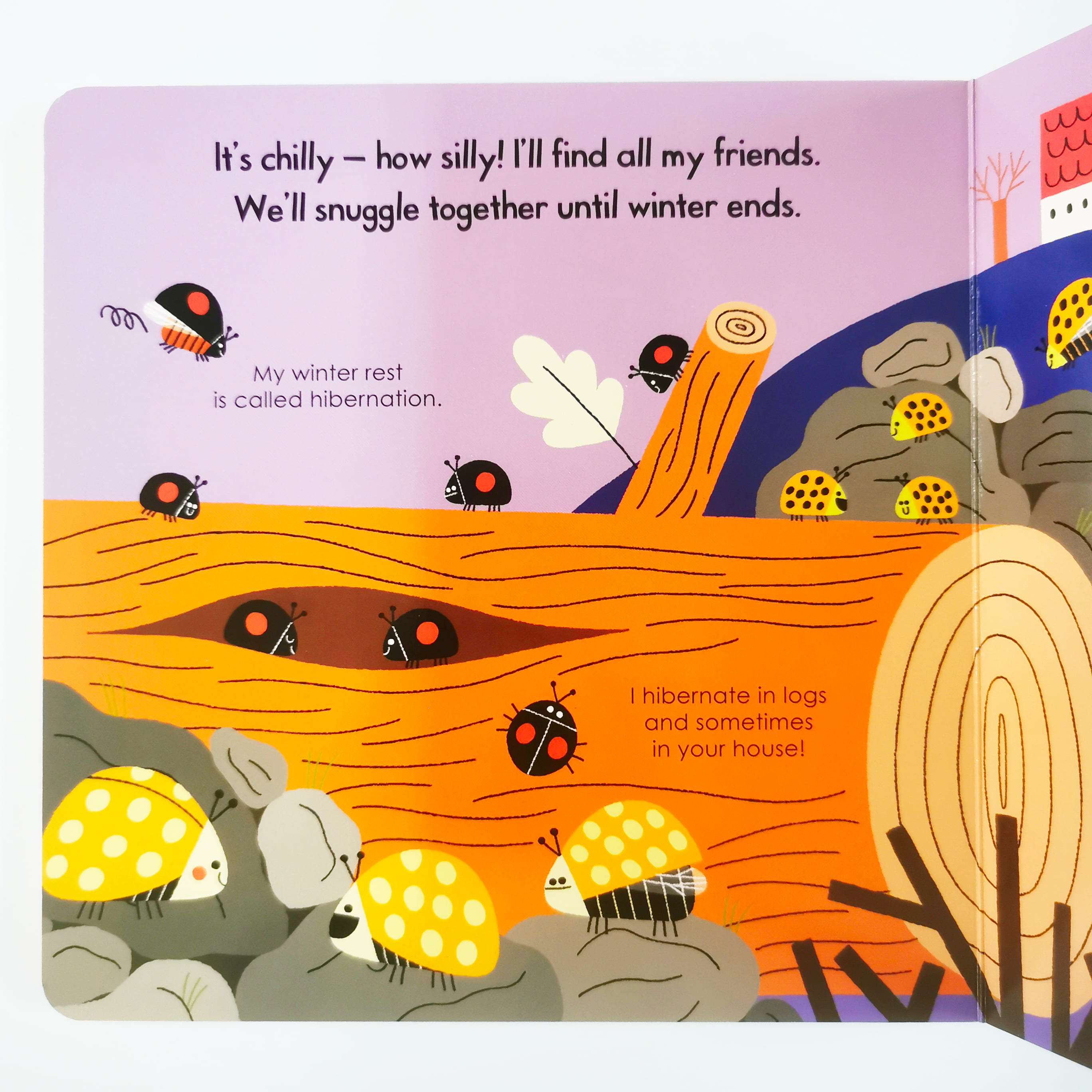 Ladybird (My Little Green World)