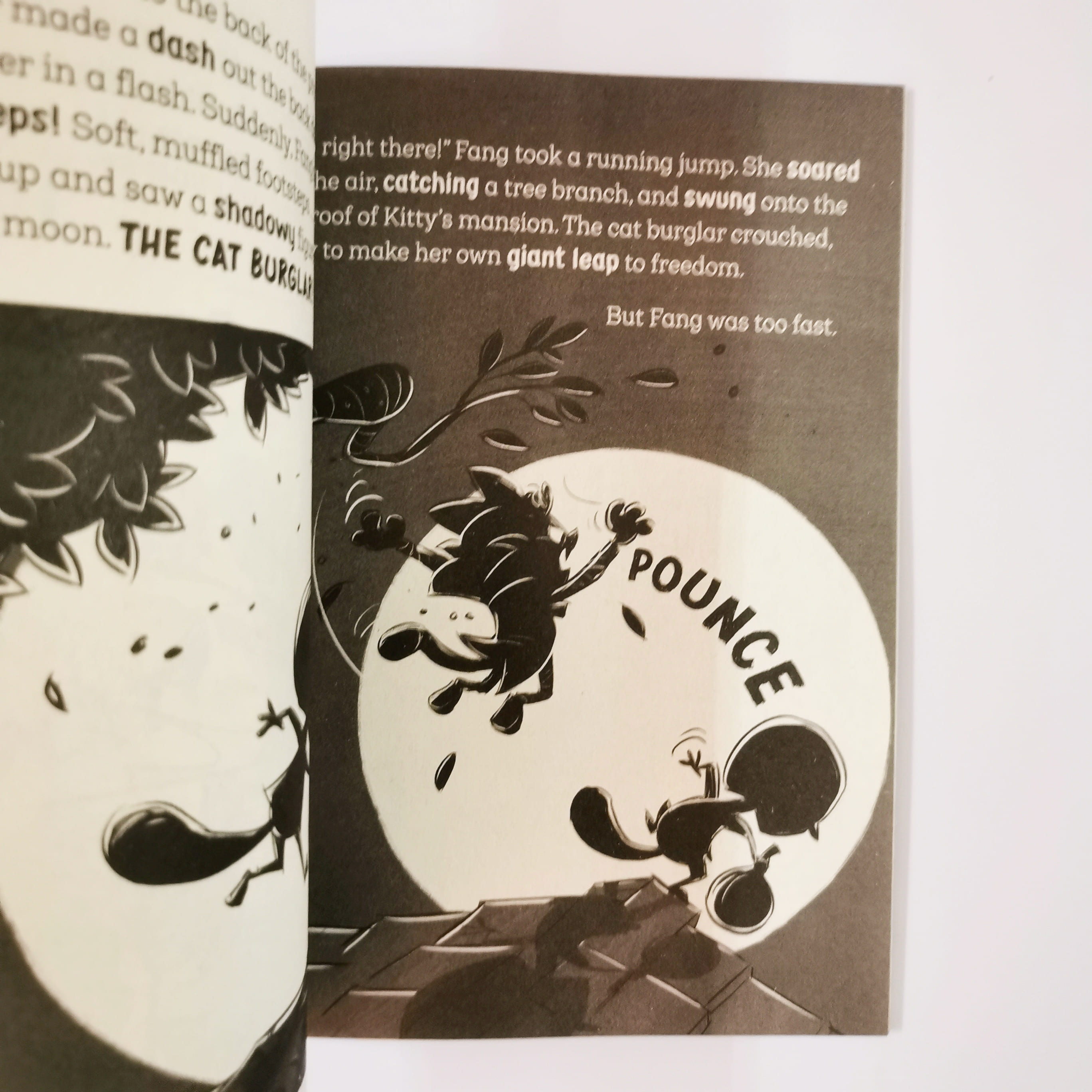 The Underdogs Catch a Cat Burglar (The Underdogs)