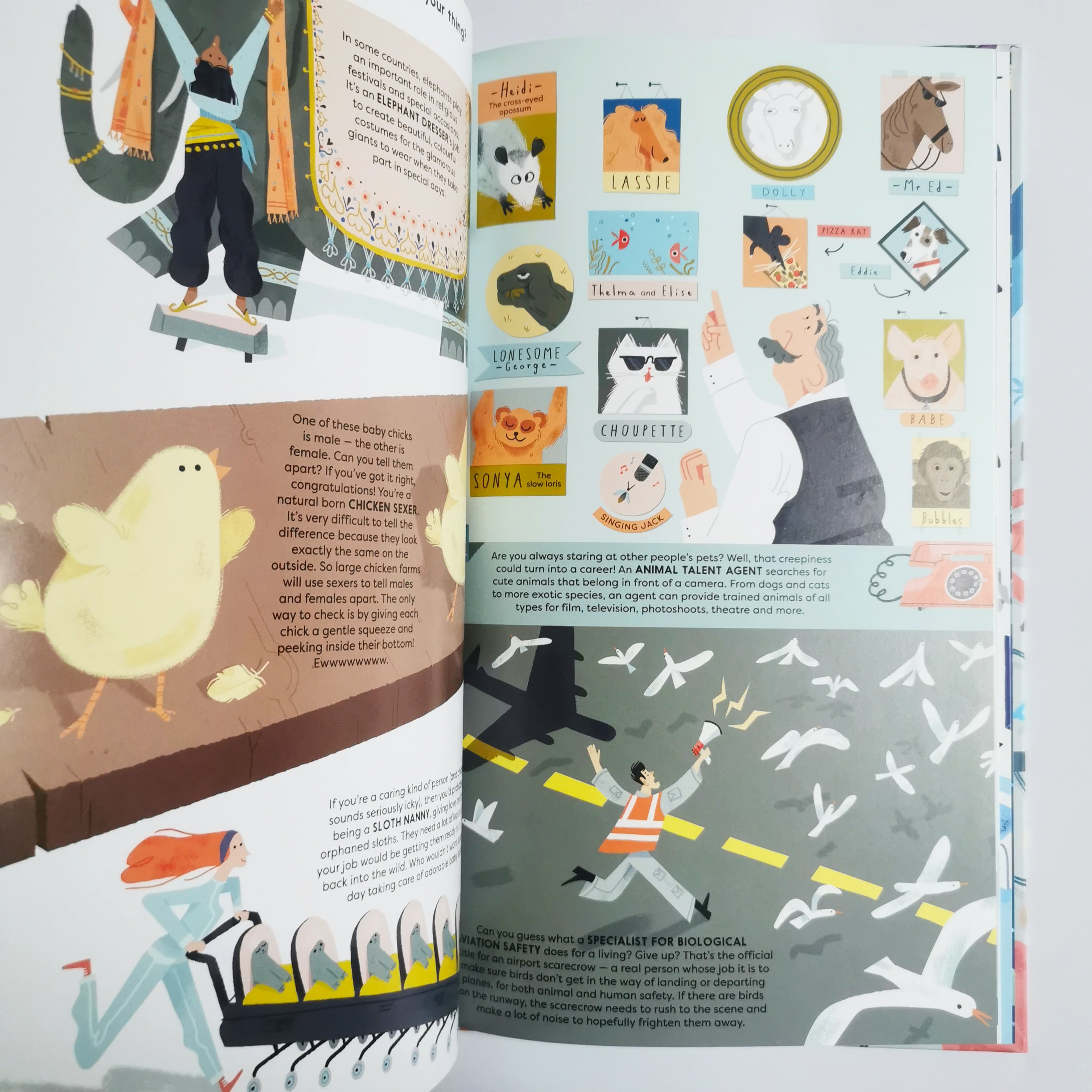 Incredible Jobs You’ve (Probably) Never Heard Of