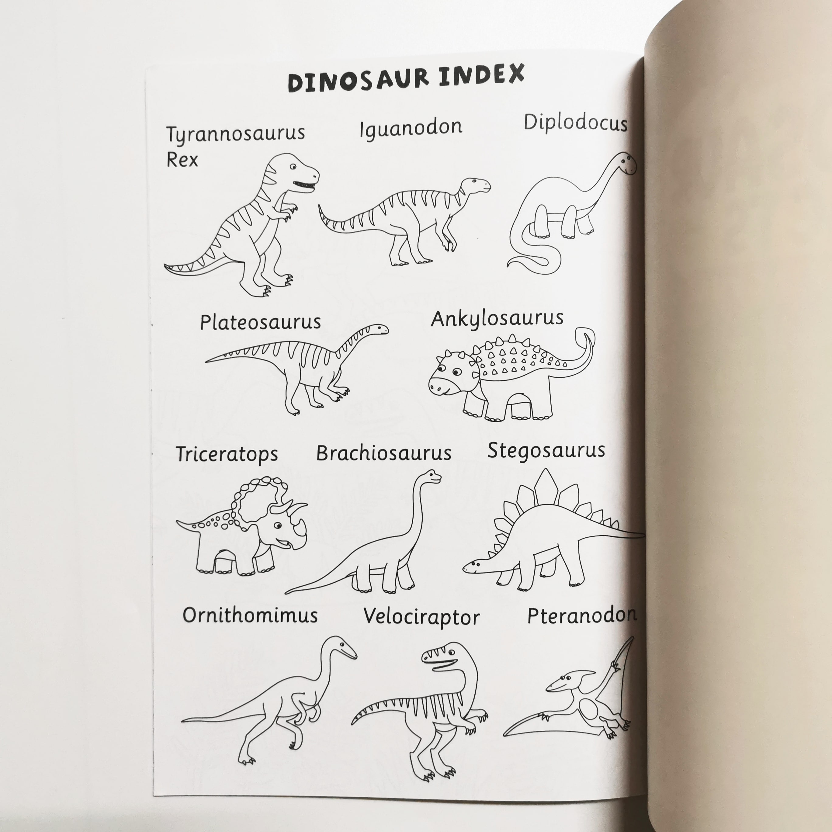 Dinosaur Facts Colouring Fun