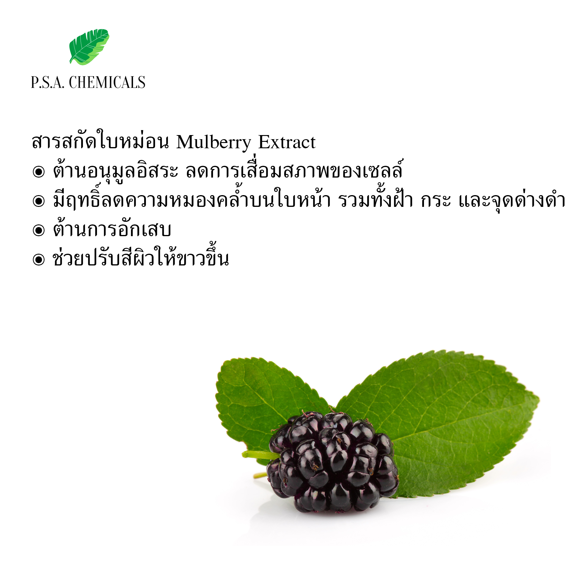 สารสกัดใบหม่อน Mulberry Extract (สารสกัดใส่สบู่ ใช้เป็นส่วนผสมสำหรับเครื่องสำอางเท่านั้น) ขนาด 50 g / 100 g / 500 g / 1000 g