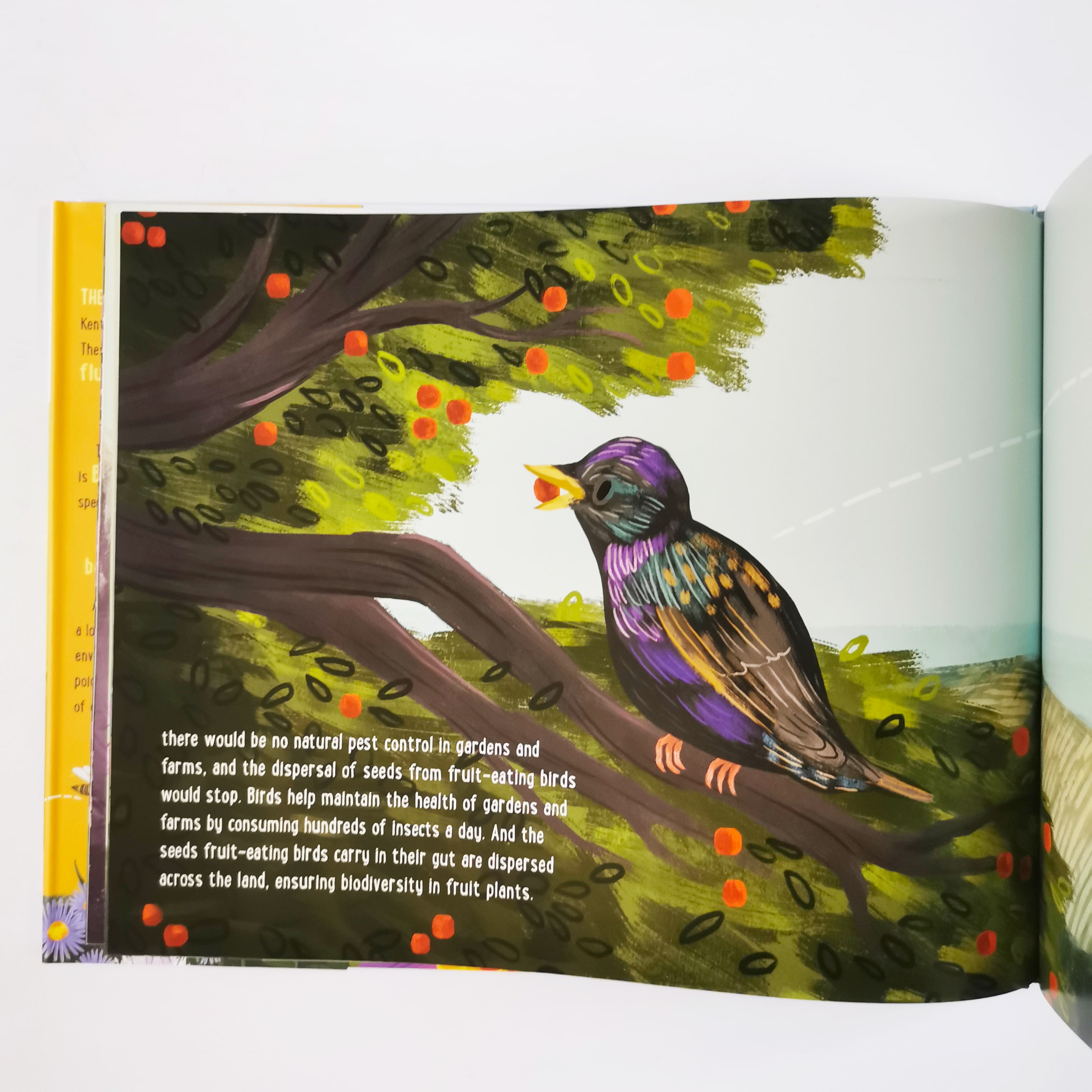 If Bees Disappeared (If Animals Disappeared)