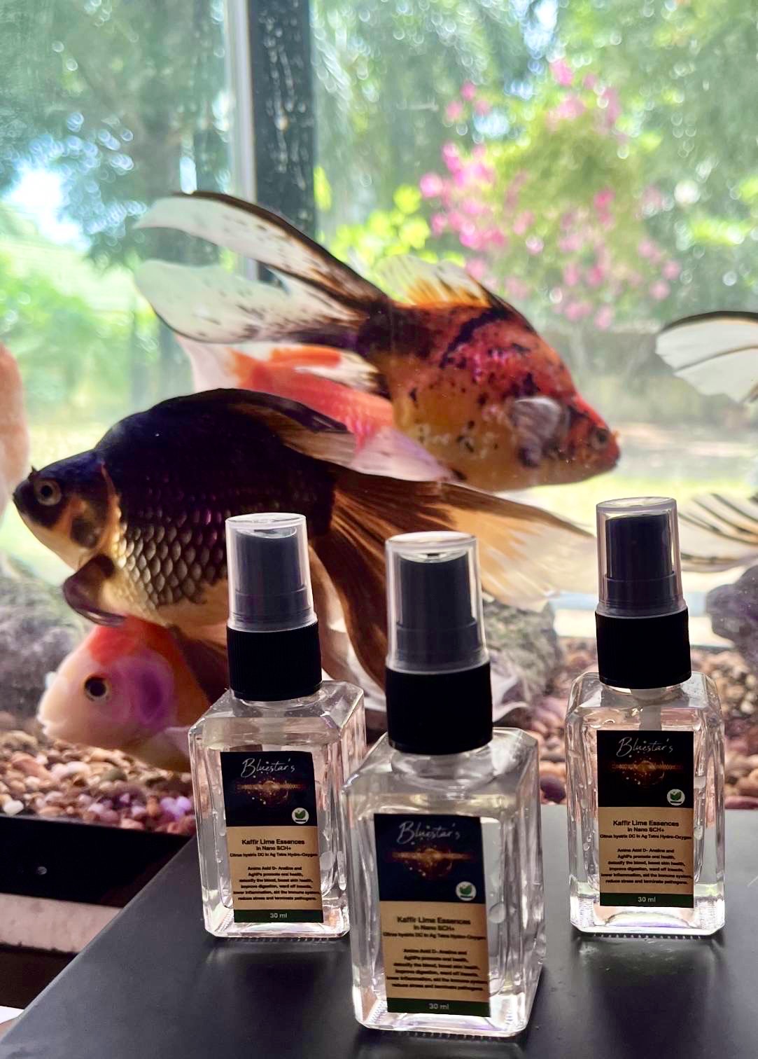 Spray น้ำมันระเหยผิวมะกรูด in SCH+ สำหรับไอ ปอดติดเชื้อ ไซนัส Long COVID 30ml.