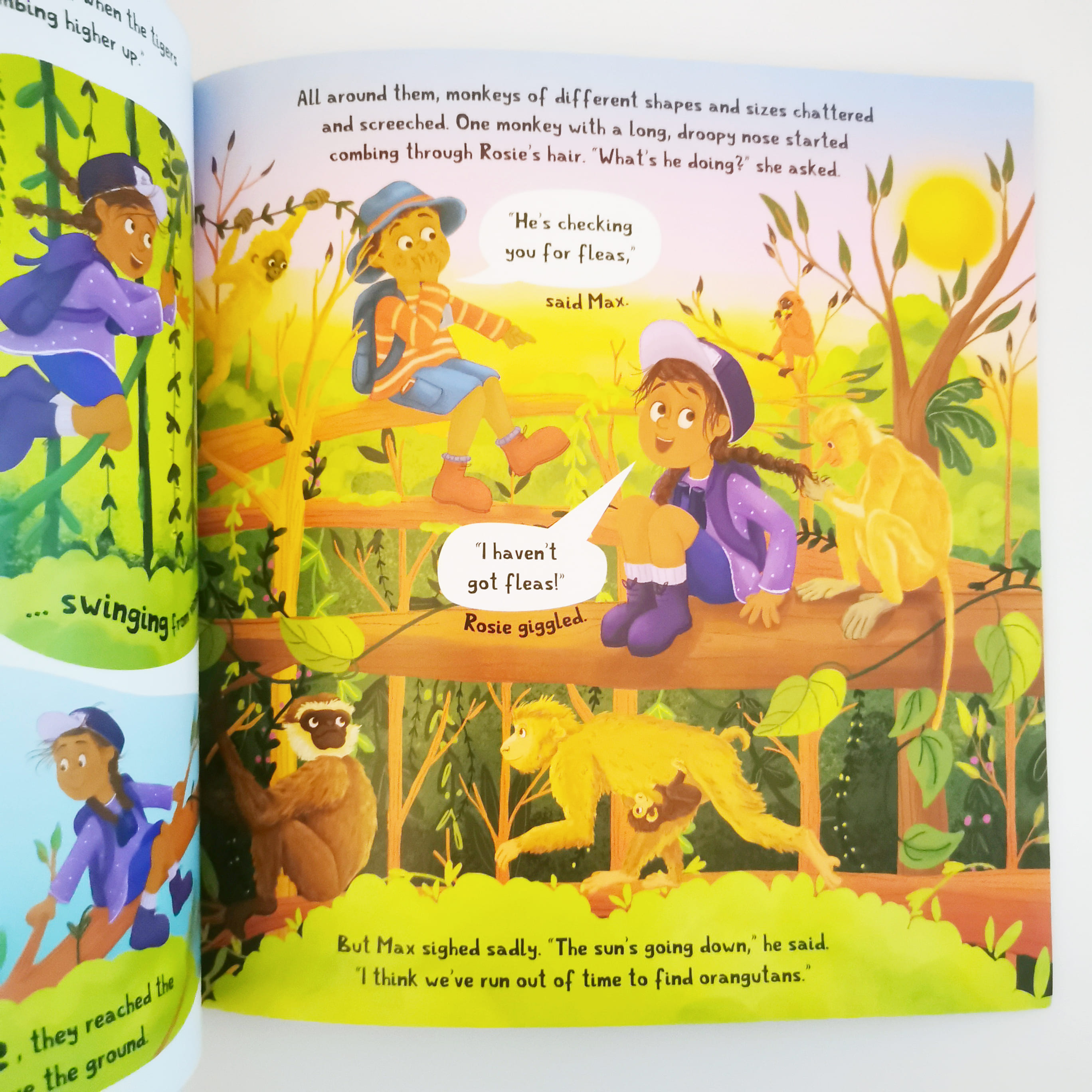 Rainforest Explorers