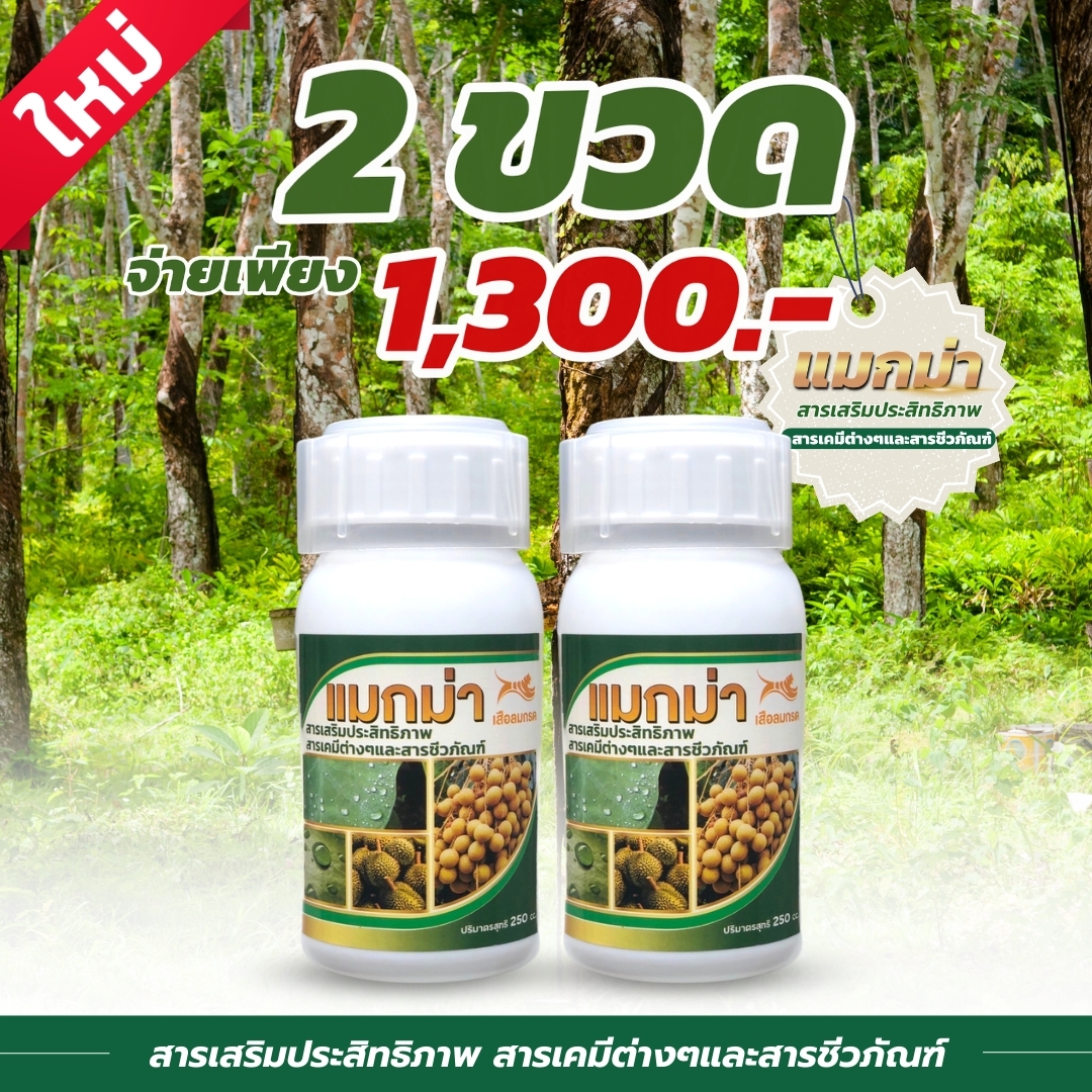 แมกม่า ขนาด250ซีซี 2ขวด