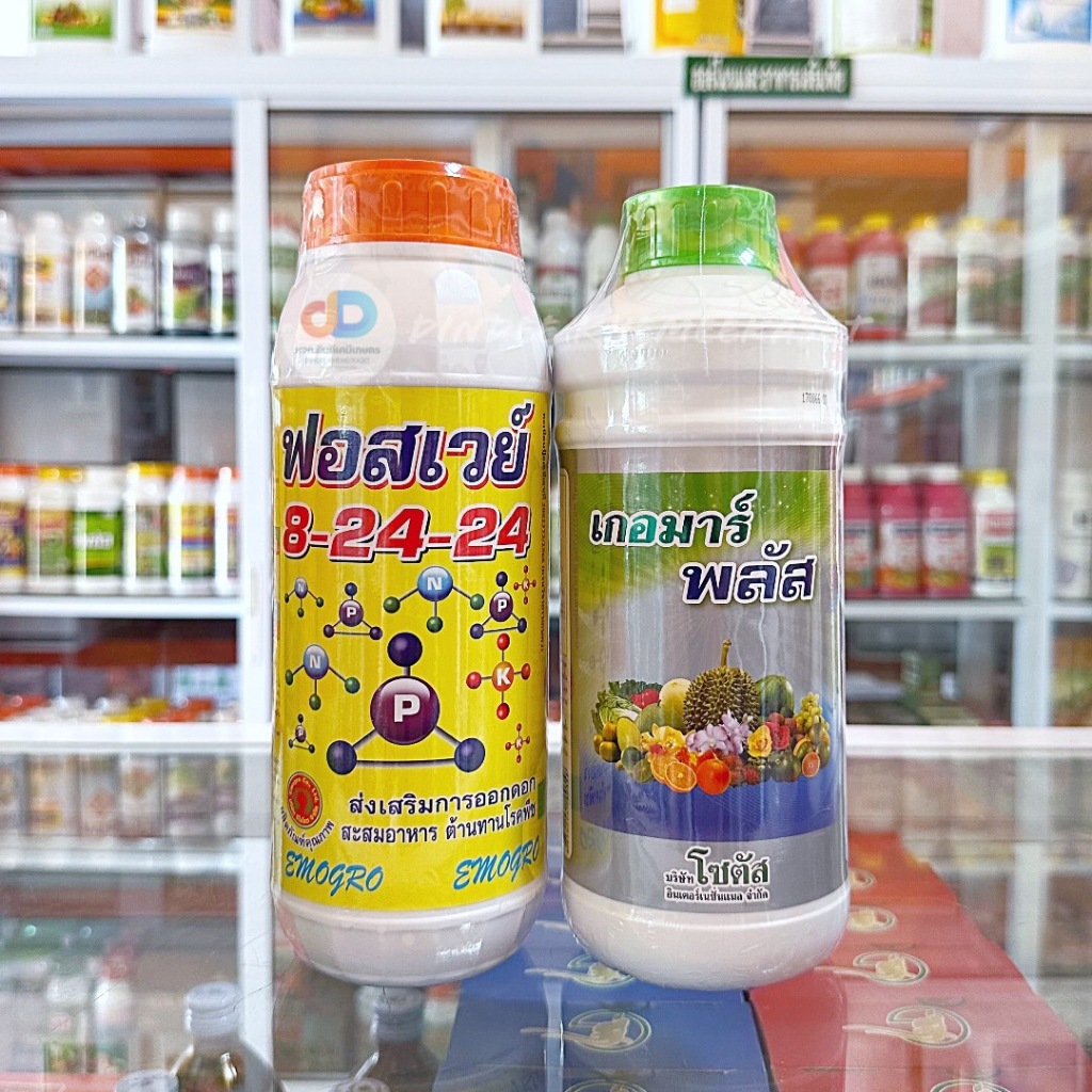 (ชุด2ขวด) ปุ๋ยน้ำฟอสเวย์ 8-24-24 ขนาด1 ลิตร ส่งเสริมการออกดอก+เกอมาร์พลัส ส่งเสริมการออกดอกติดผล ขนาด1ลิตร
