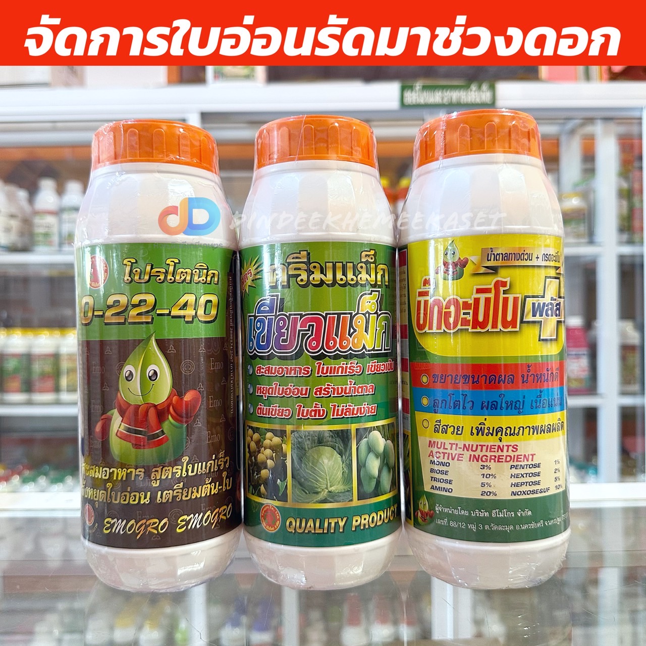 ชุด จัดการ ใบอ่อน 0-22-40 ขนาด 1 ลิตร+ เขียวแม็กซ์ ขนาด 1 ลิตร+ บิ๊กอะมิโน พลัส ขนาด 1 ลิตร จัดการ ใบอ่อน รัดมาช่วงดอก