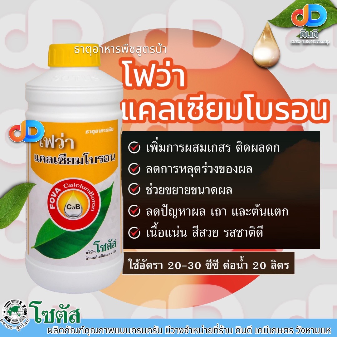 โฟว่า แคลเซียมโบรอน (Fova CalciumBoron) โซตัส 1ลิตรเพิ่มการผสมเกสร ติดผลดก ลดการหลุดร่วงของผล ช่วยขยายขนาดผล