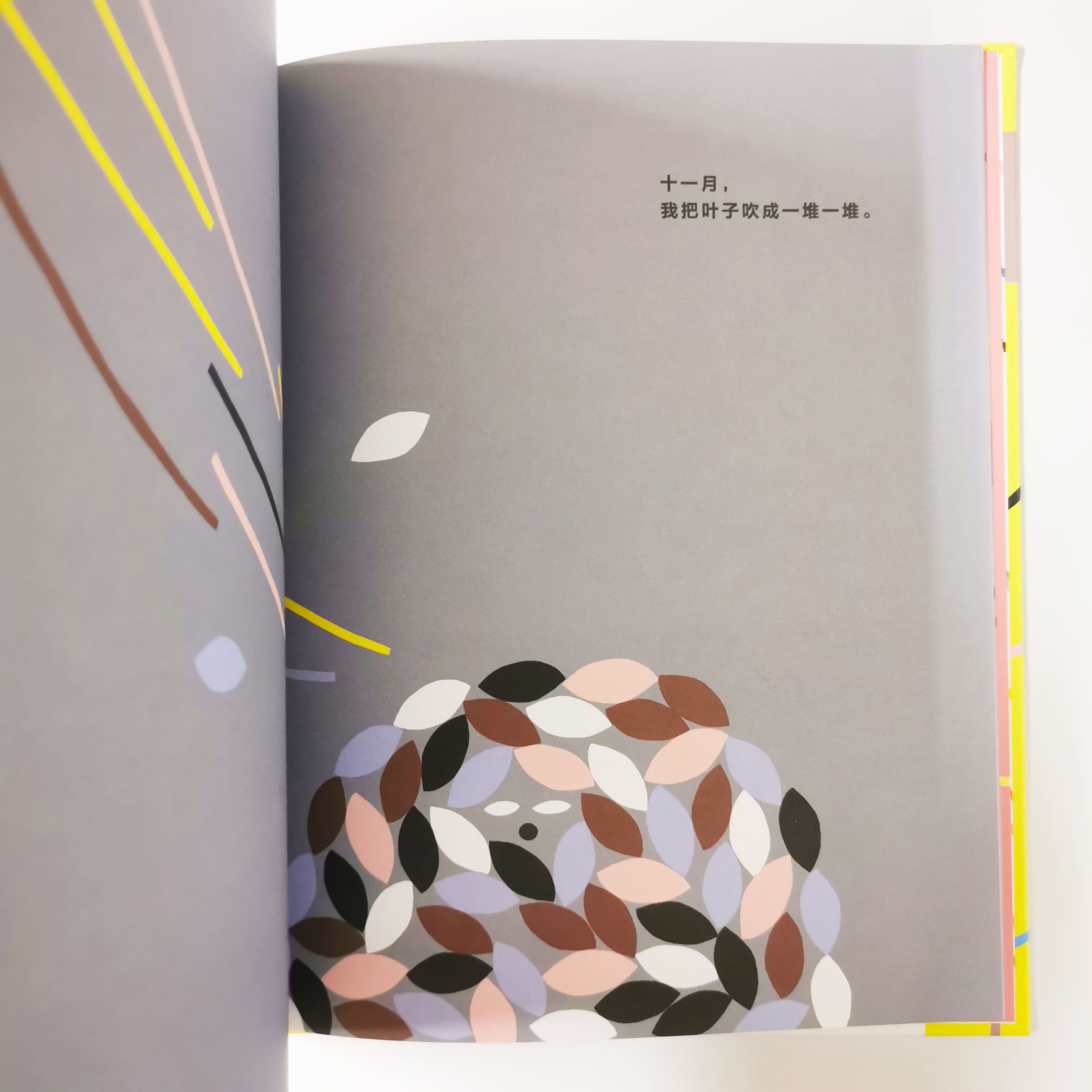 四季有风 A Year with the Wind