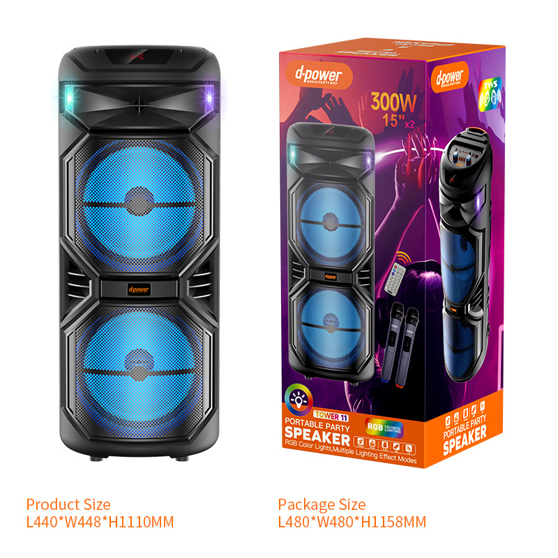 d-power TOWER 11 300W 15"*x2