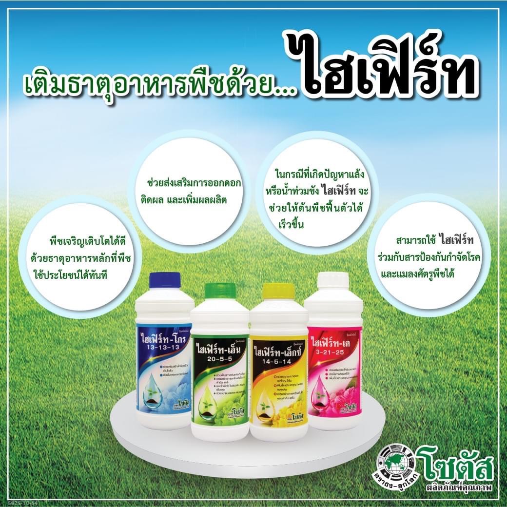 (ยกลัง12ขวด) ไฮเฟิร์ท-โกร 13-13-13 (Hifert-Grow) ช่วยฟื้นฟูสภาพต้นหลังการเก็บเกี่ยว ต้นสมบูรณ์ แข็งแรง(ยกลัง12ขวด) ไฮเฟิร์ท-โกร 13-13-13 (Hifert-Grow) ช่วยฟื้นฟูสภาพต้นหลังการเก็บเกี่ยว ต้นสมบูรณ์ แข็งแรง
