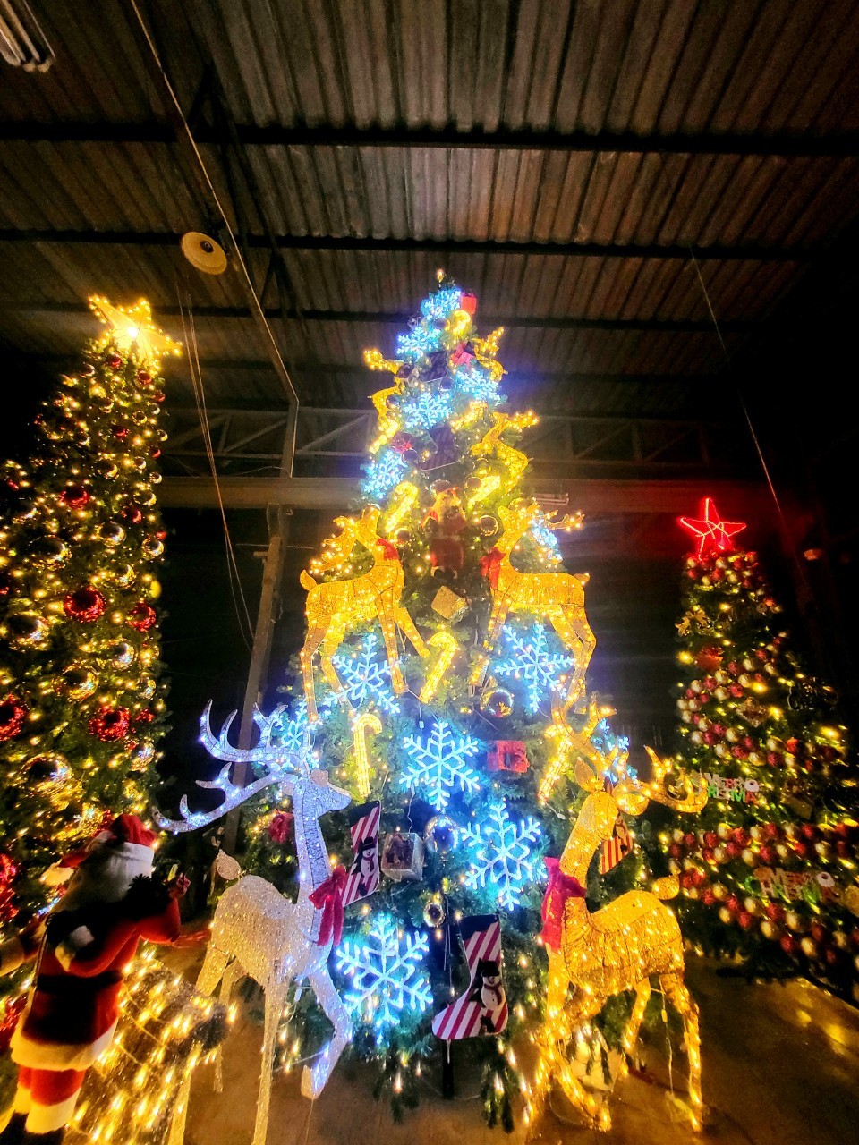 ให้เช่าของใช้ตกแต่งพื้นที่ในธีมคริสต์มาส สุดยอดแสงไฟสีวอร์มไวท์ลอยฟ้า