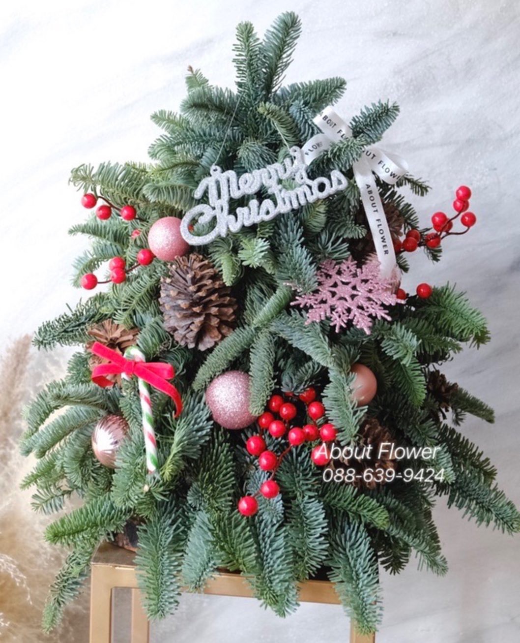 Christmas Tree ต้นคริสมาสต์ ทำจากต้นสนสด Holland มี 2 ขนาด พร้อมประดับตกแต่ง Ornament