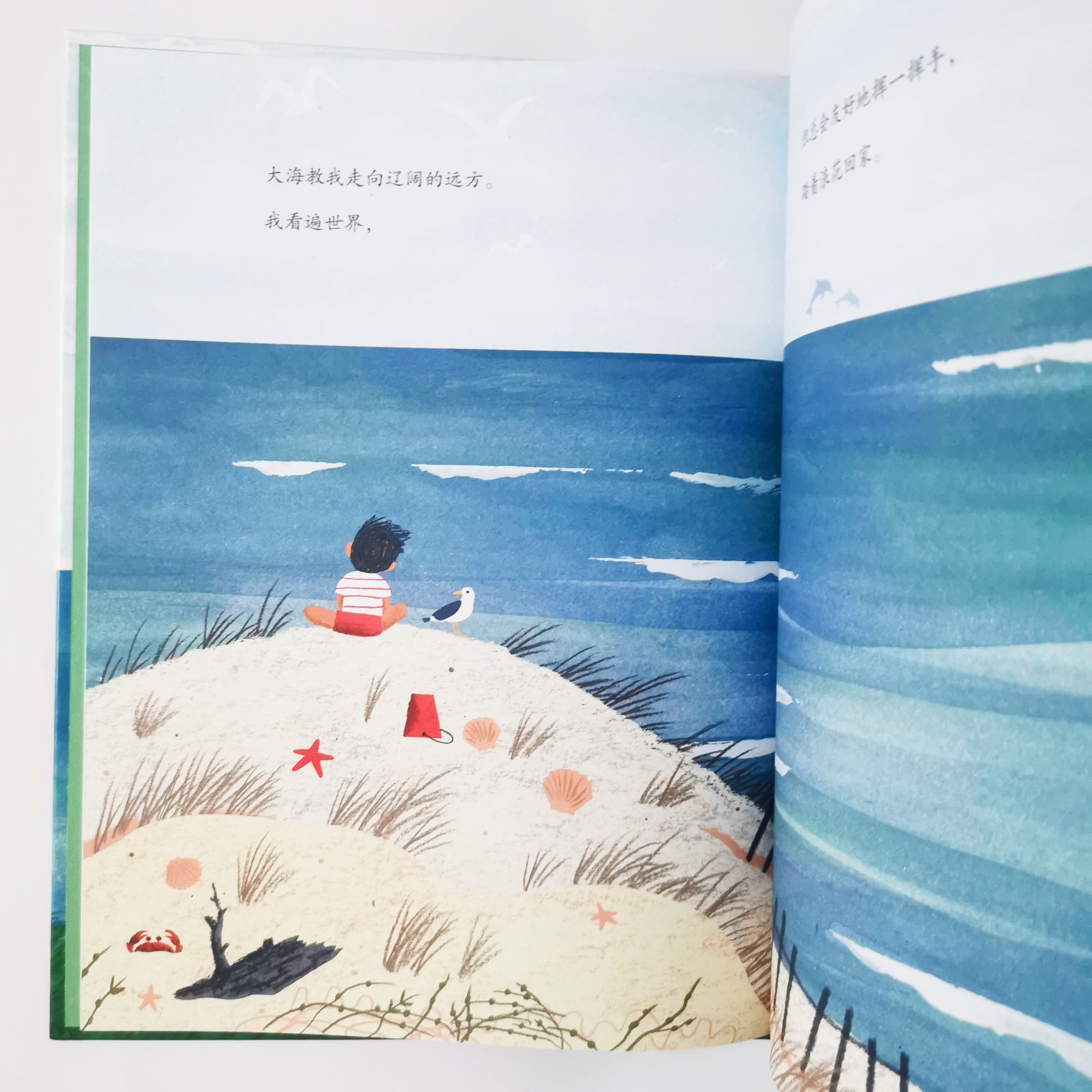 从树木到海洋 From tree to sea