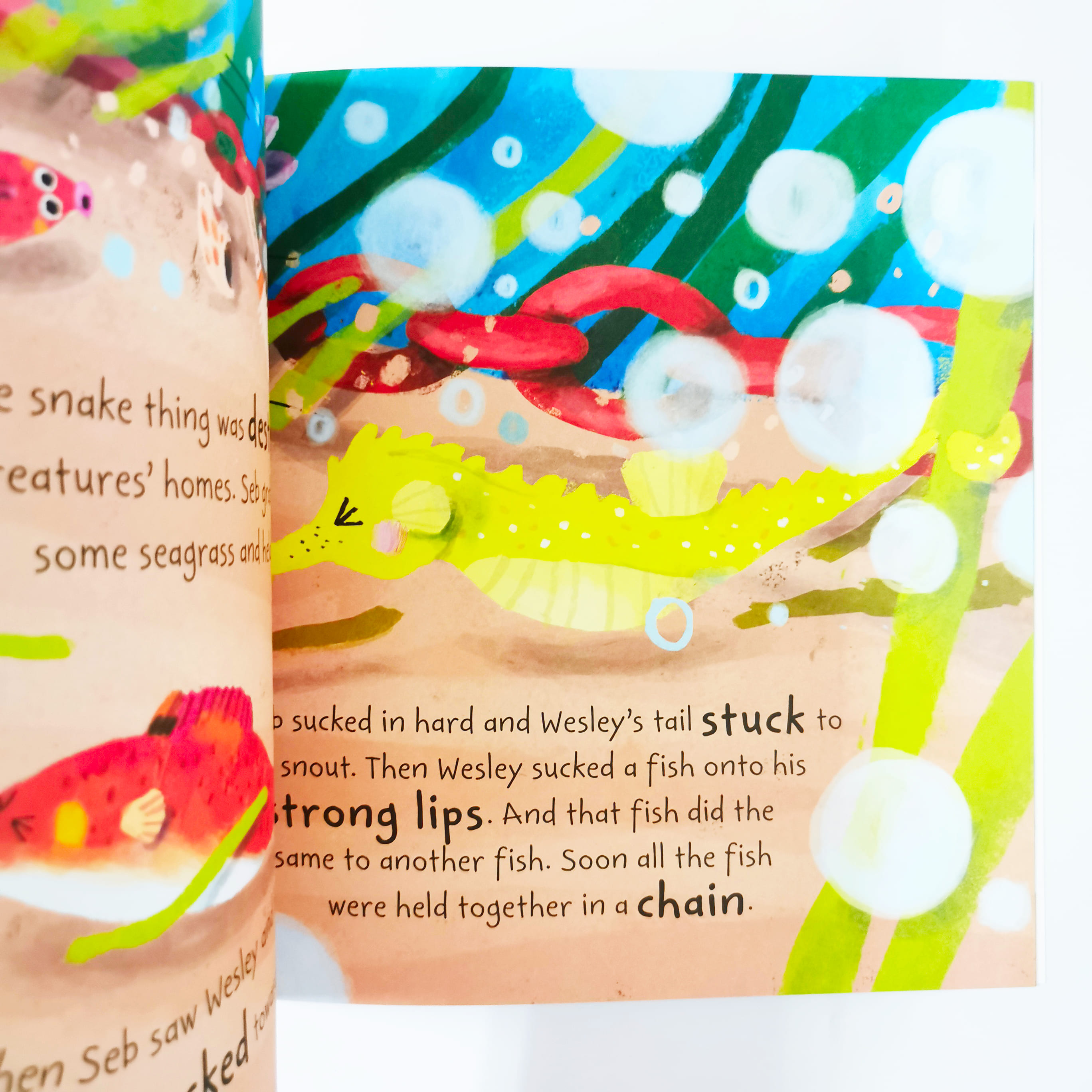 Seb the Seahorse (Stories from the Sea)