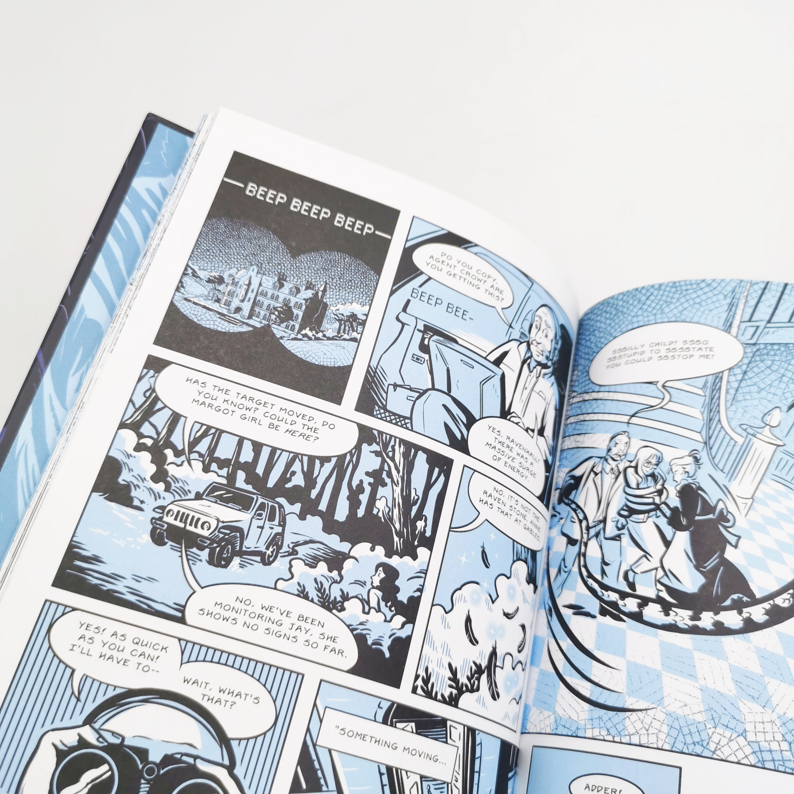 Conspiracy of Ravens