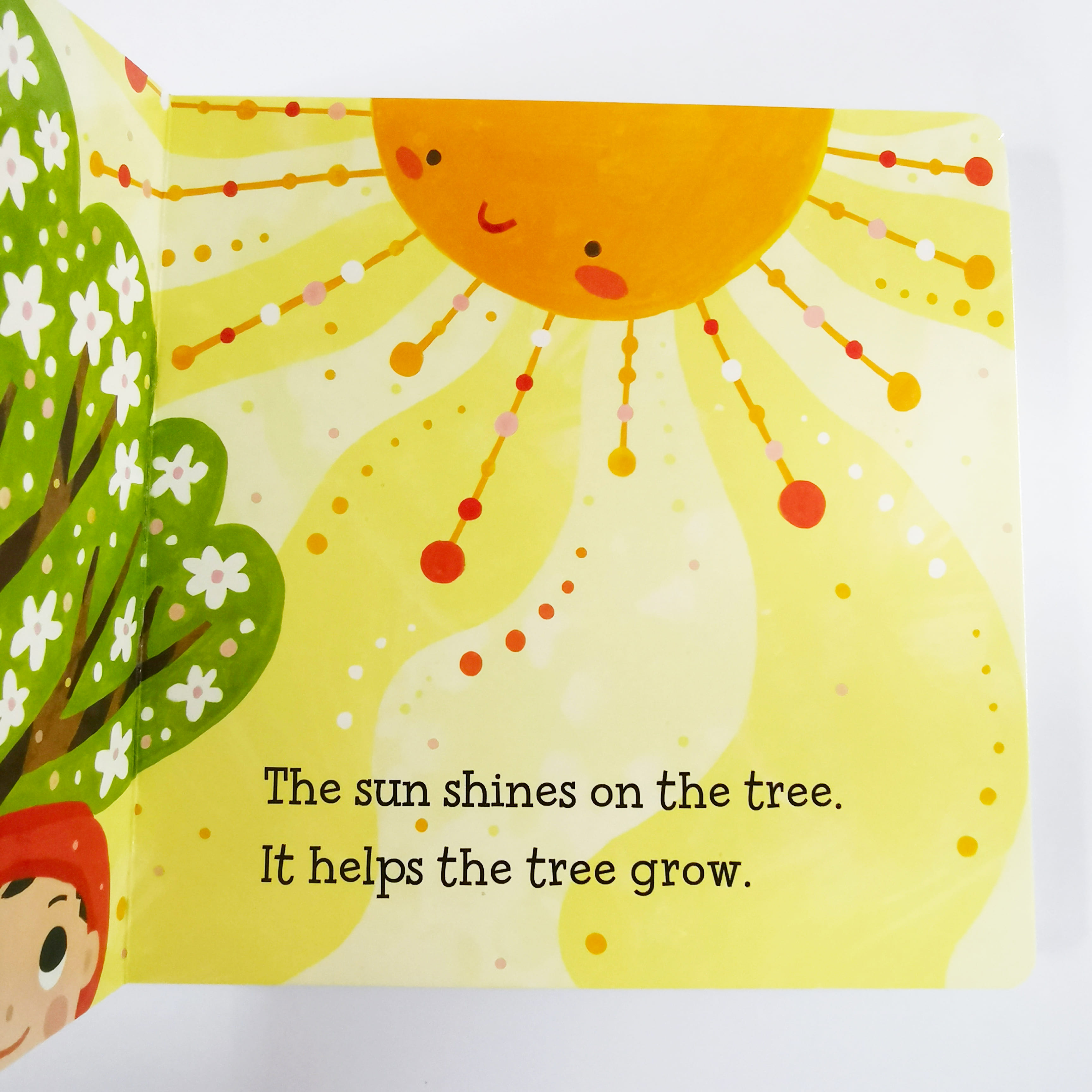 Baby Loves Thermodynamics! (Baby Loves Science)