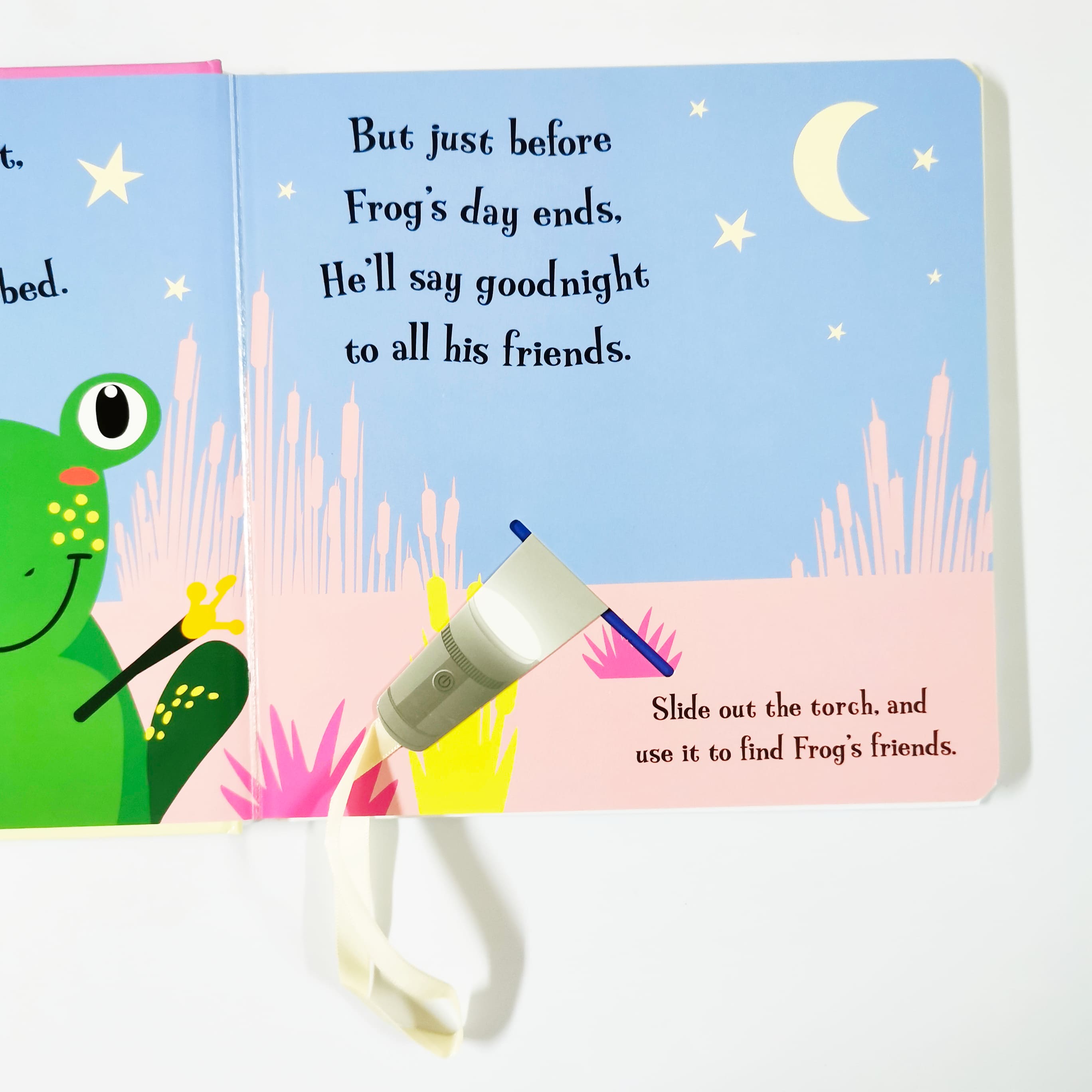 Goodnight Frog (Magic Torch Books)