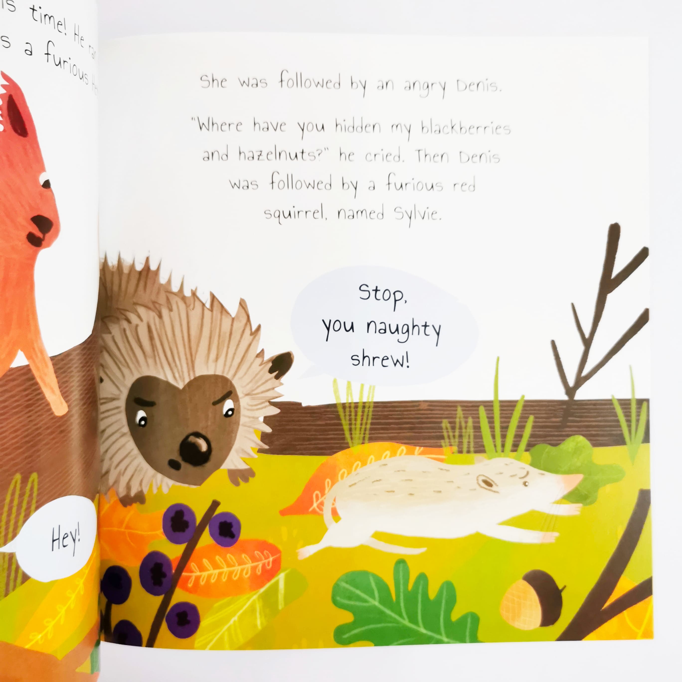 Silver The Shrew (Woodland Tales)