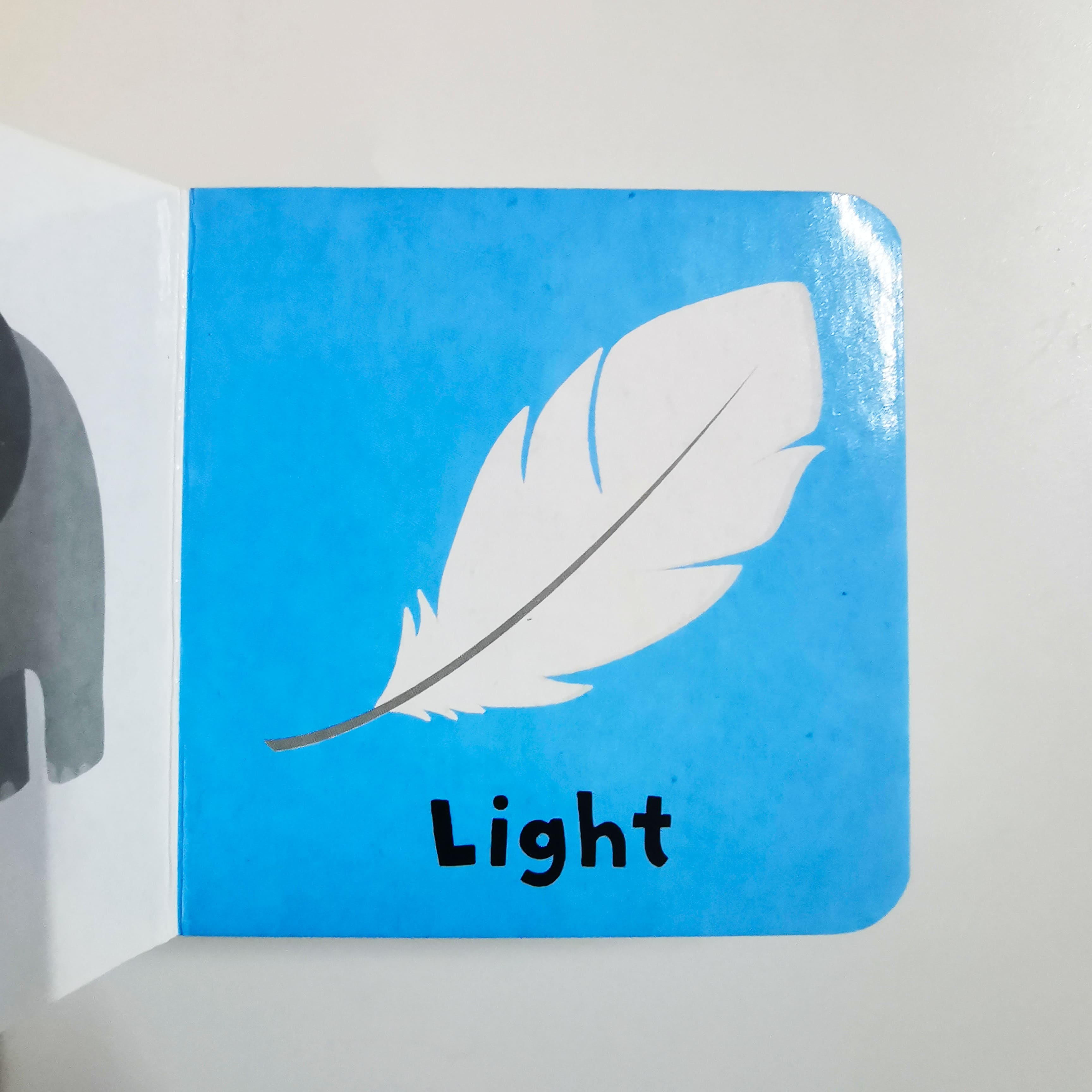 My Big Concept Bookcase