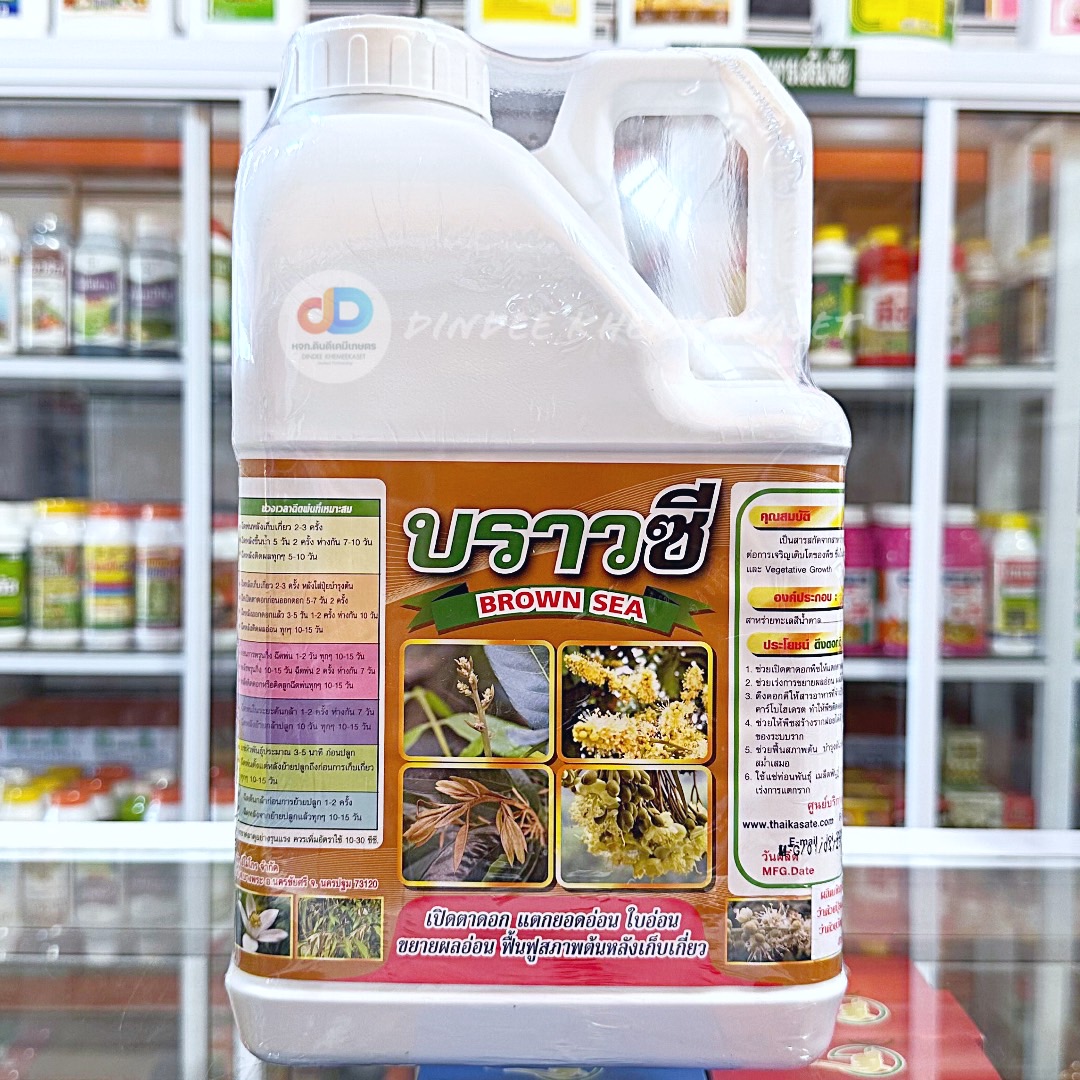 บราวซี 5ลิตร (BROWN SEA) สาหร่ายทะเลสีน้ำตาล 20%w/w #เปิดตาดอก แตกยอดใบอ่อน