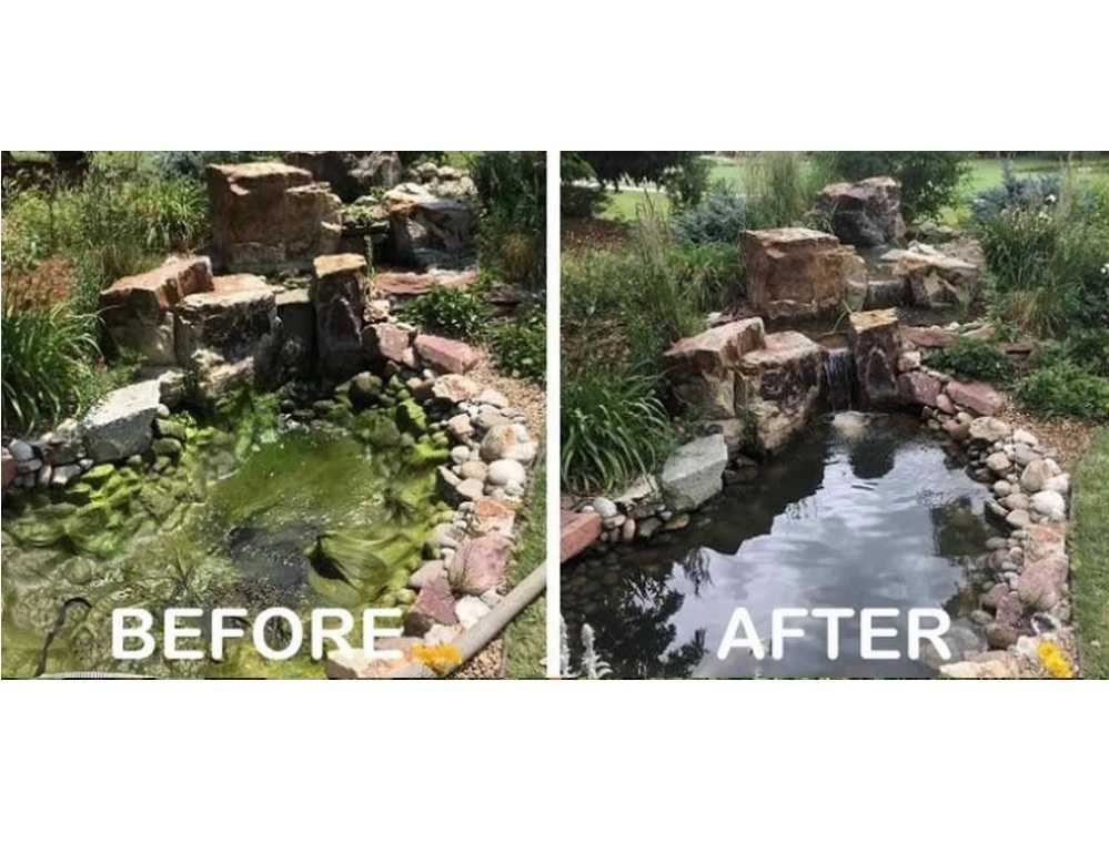 RQ Anti Algae (น้ำยากำจัดตะไคร่ น้ำขียว สาหร่าย ตะไคร่ ในบ่อปลา และตู้ปลา)