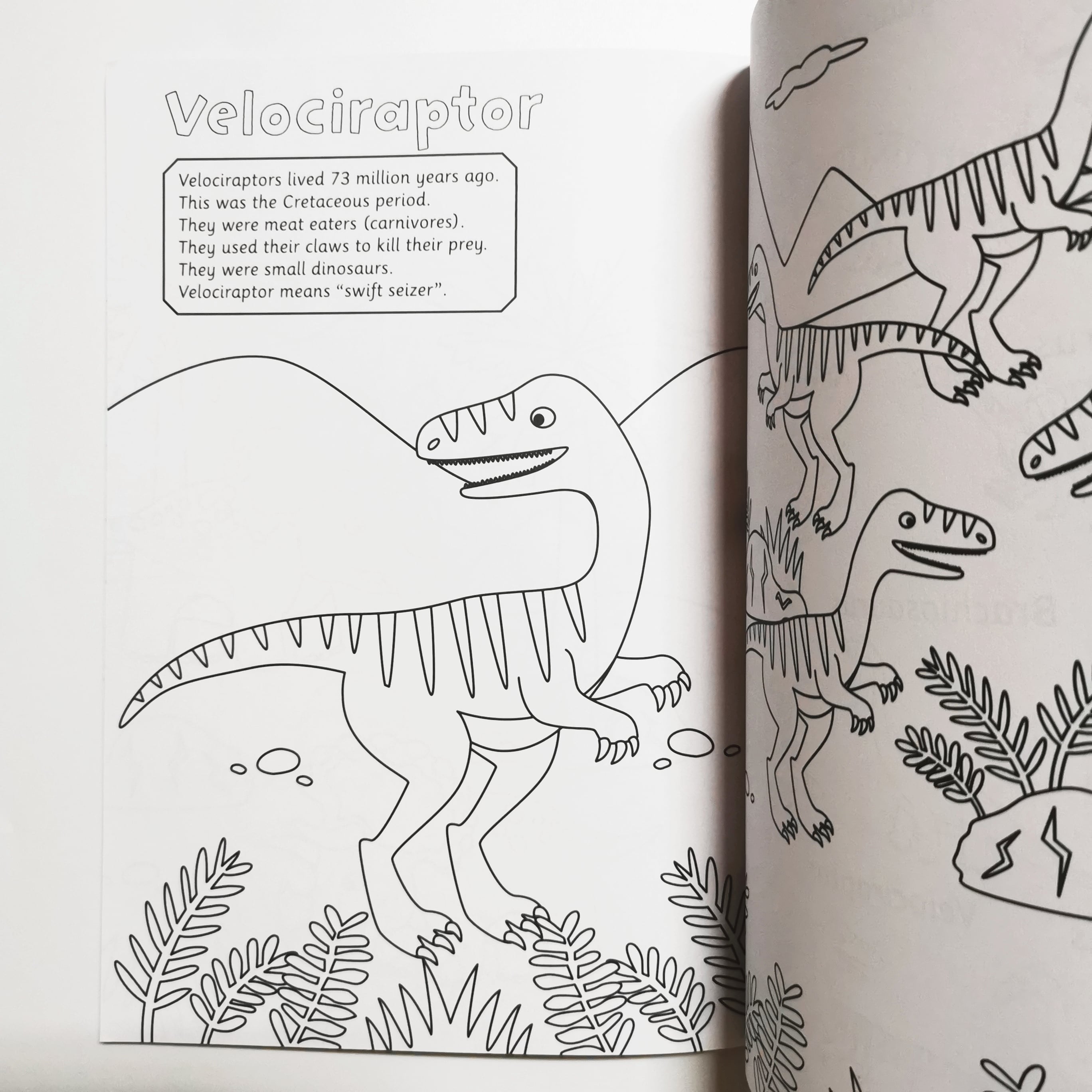 Dinosaur Facts Colouring Fun