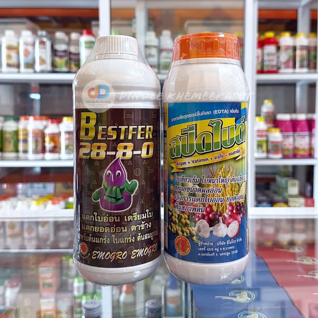 ชุดเร่งต้น เร่งใบ ฟื้นต้น 28-8-0 + สปีดไบด์ ช่วยในการเร่งต้น เร่งทำใบ ฟื้นฟูสภาพต้นที่ทรุดโทรมตามธรรมชาติ