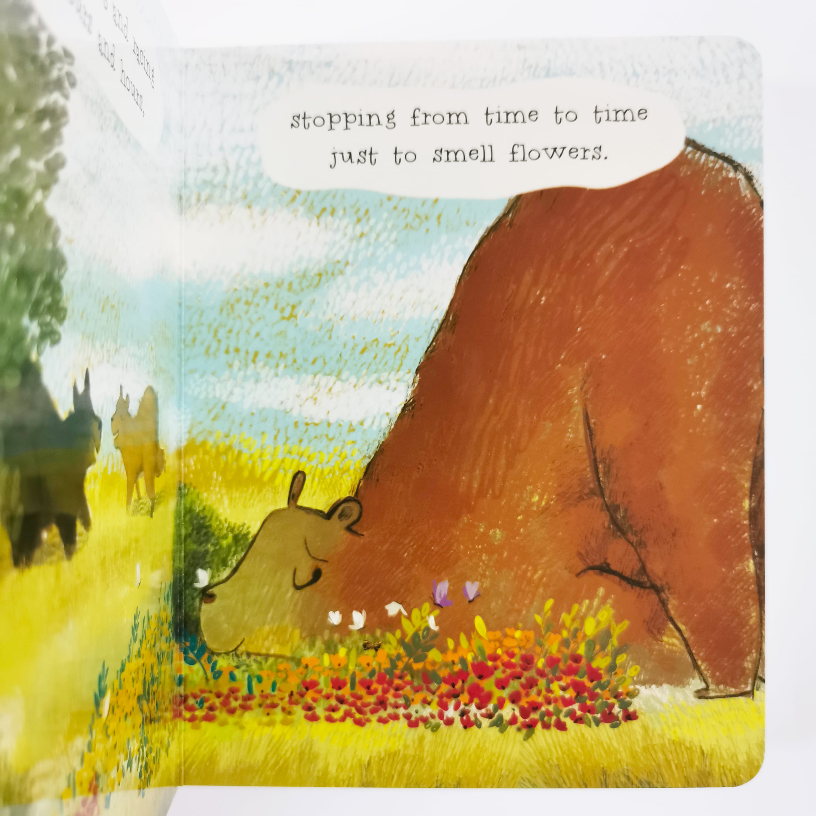 The Curious Cares of Bears