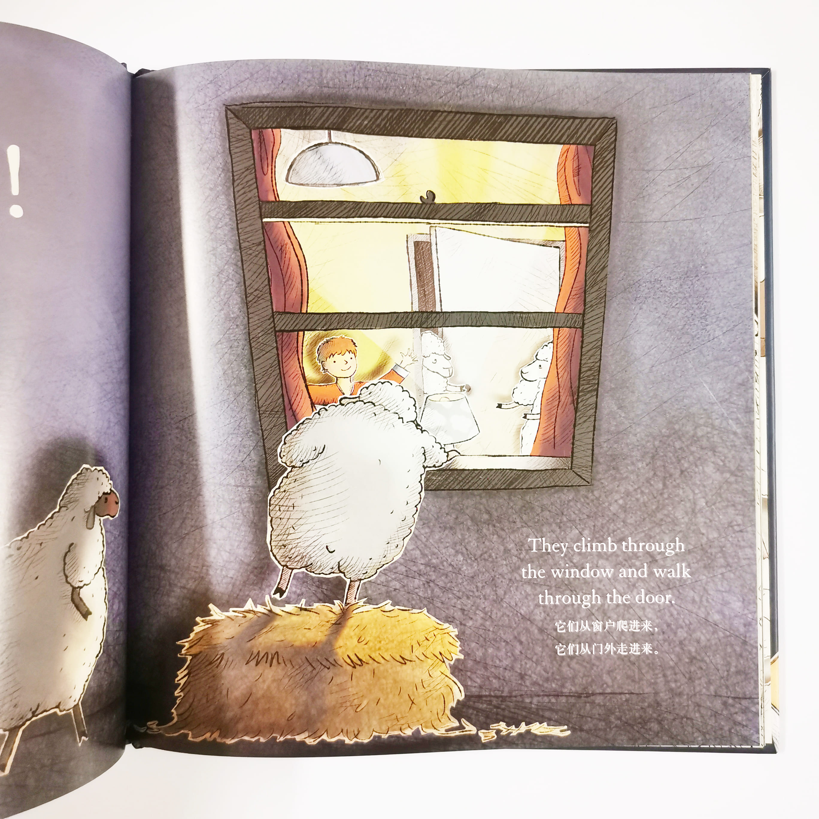 Too Many Sheep 谁说睡前要数羊