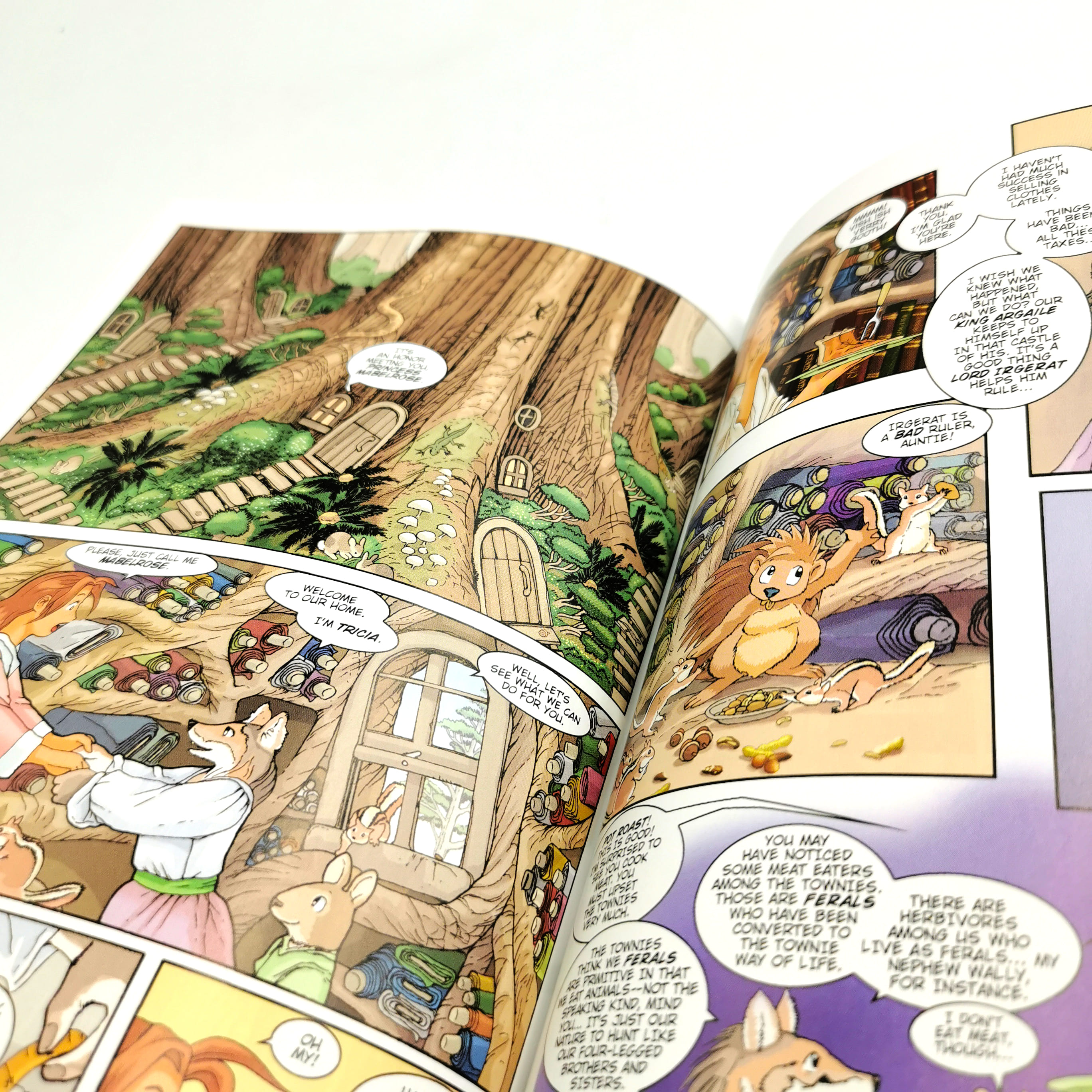 Courageous Princess #1