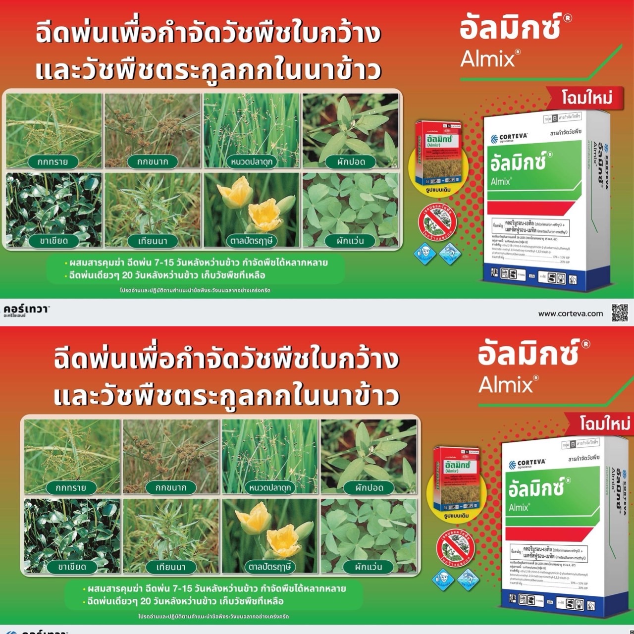 (1 กล่อง 12 ซอง) อัลมิกซ์ คลอริมูรอน -เอทิล+เมตซัลฟูรอน-เมทิล ขนาด 1.5 กรัม ใช้กำจัดหญ้าแห้วหมู ในสนามหญ้า พืชใบกว้าง