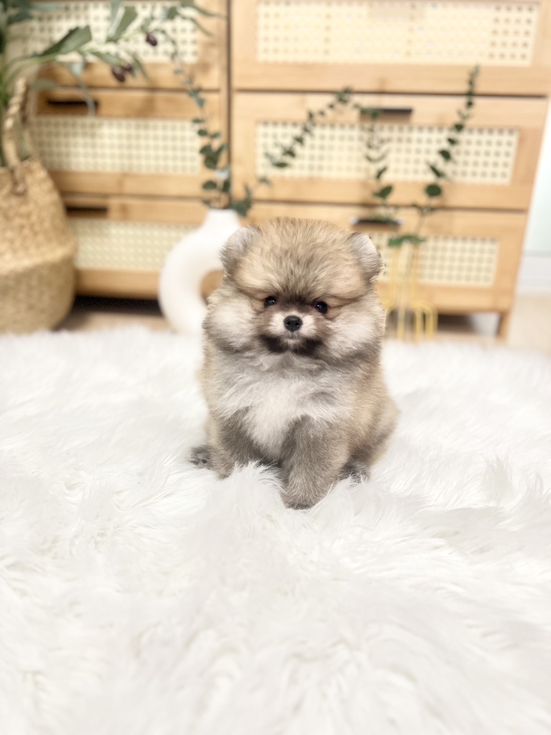 น้องปอม เพศญ สีส้ม