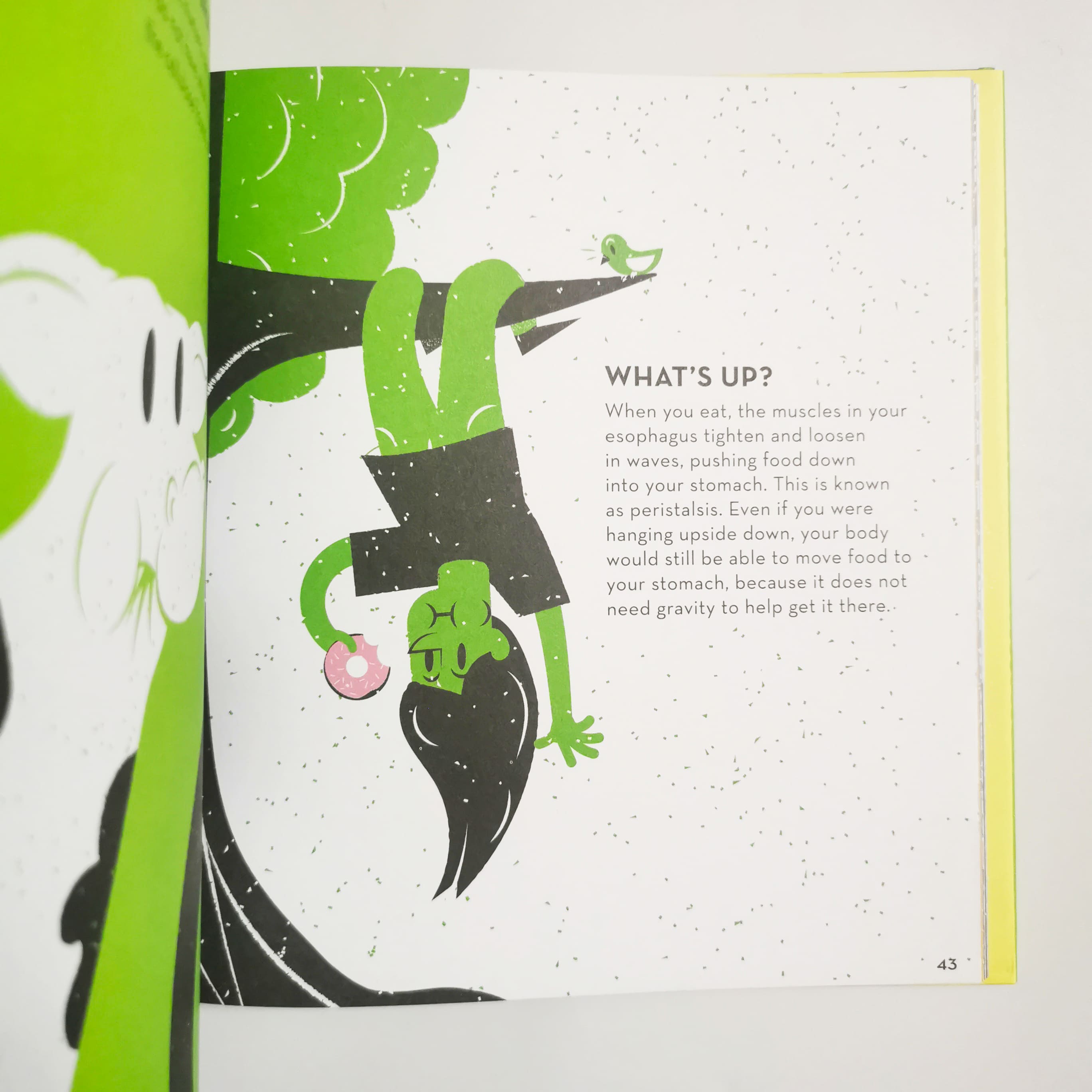 Human Body (Volume 2) (Odd Science)