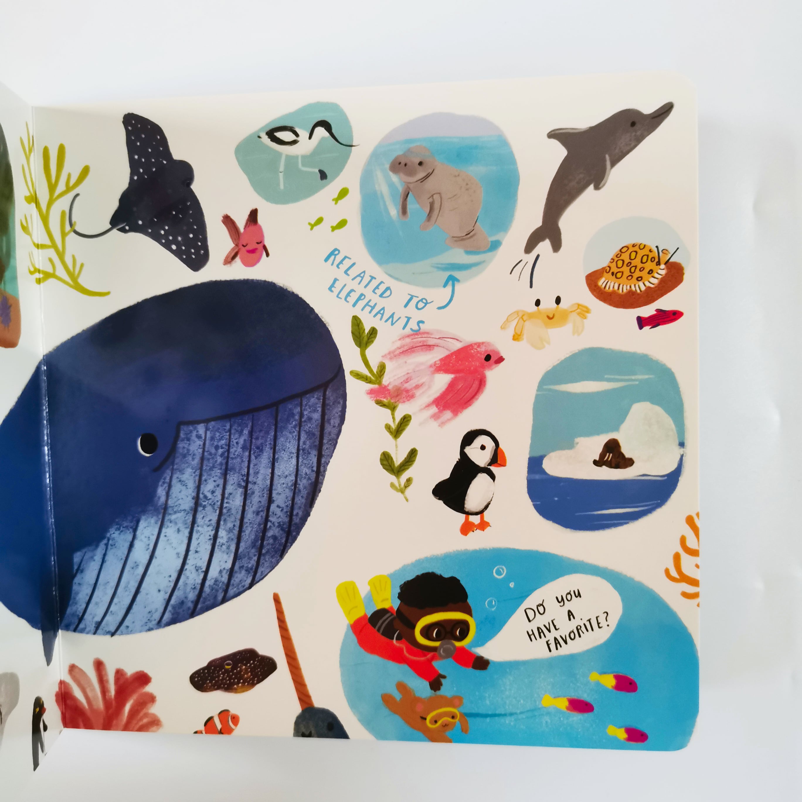 Ocean (Nerdy Babies #1)